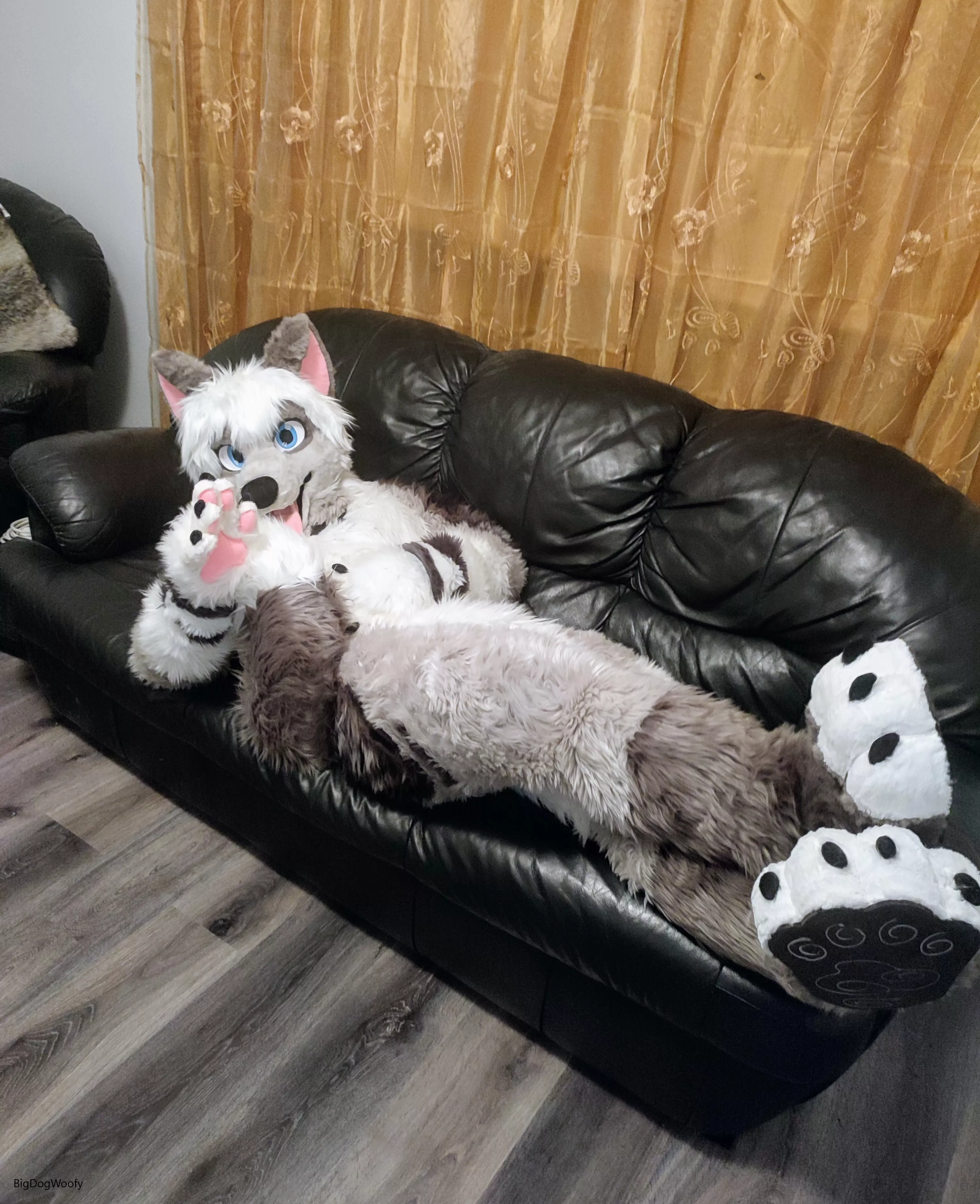 So they hired me to test out a couch, think you could help me? posted by Bigdogwoofy