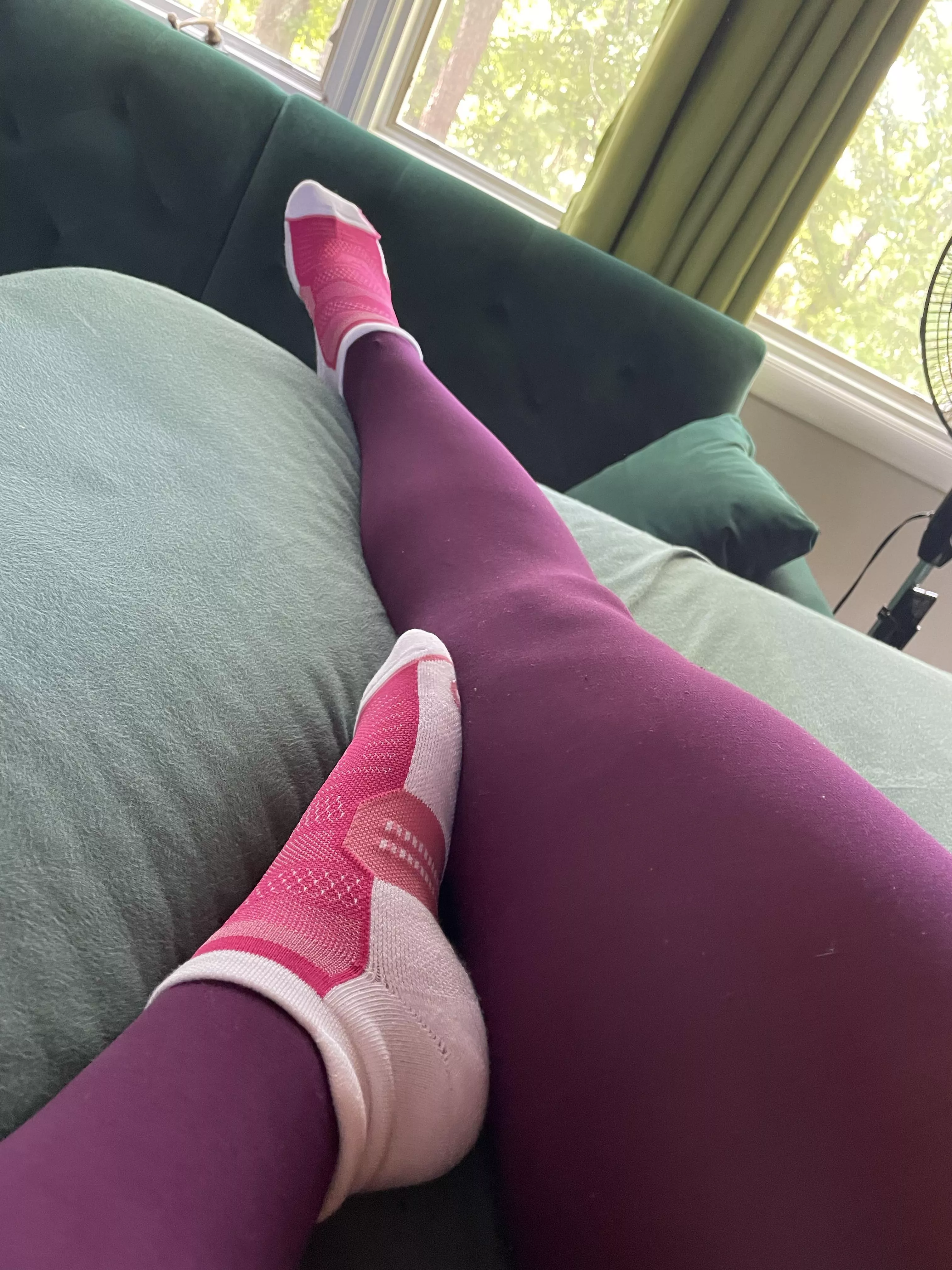 Someone lucky booked these pink gym socks ;) posted by JennysPerfectPaws