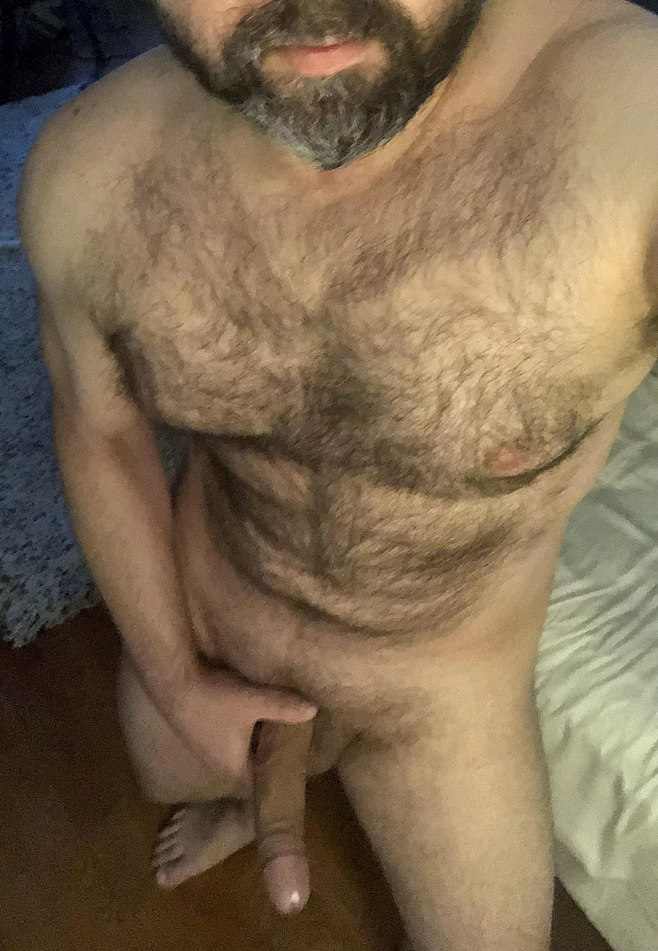 Sometimes early birds find big, throbbing worms.(41) posted by NorthernHighD