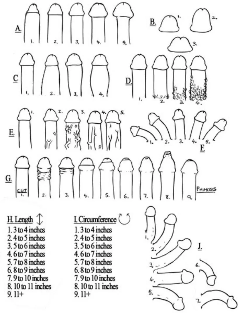 Standard variables, wanna play? posted by batonrouge78