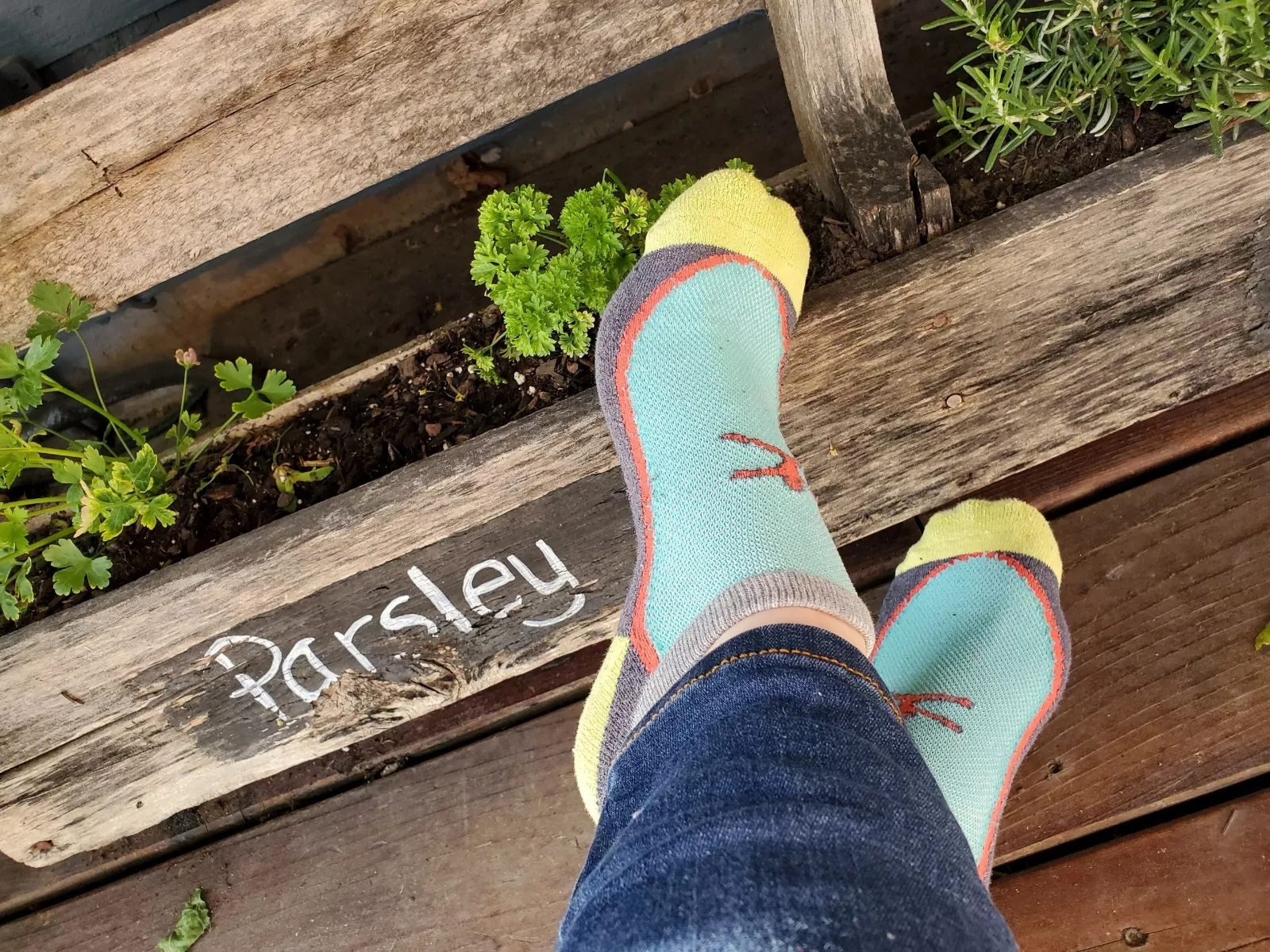 Super sweaty socks after watering my plants! posted by only_feetpc2022