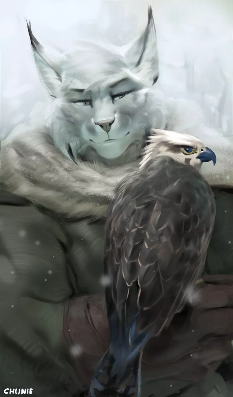 The Falconer (art by Chunie) posted by I_Am_Slightly_Evil