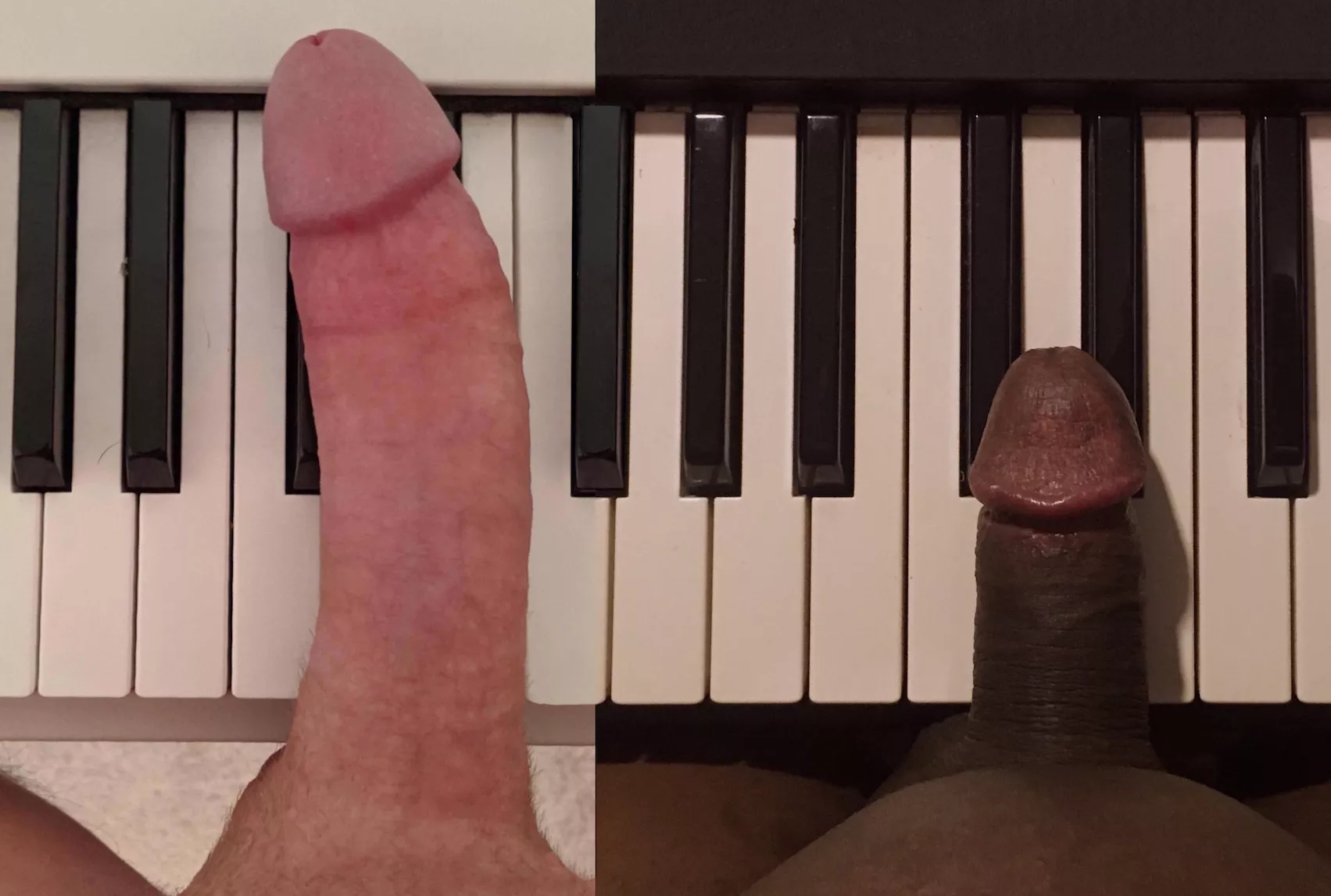 The white keys are much bigger than the black ones and u/SplooieOnMyFace is much bigger than me posted by lilblkdck