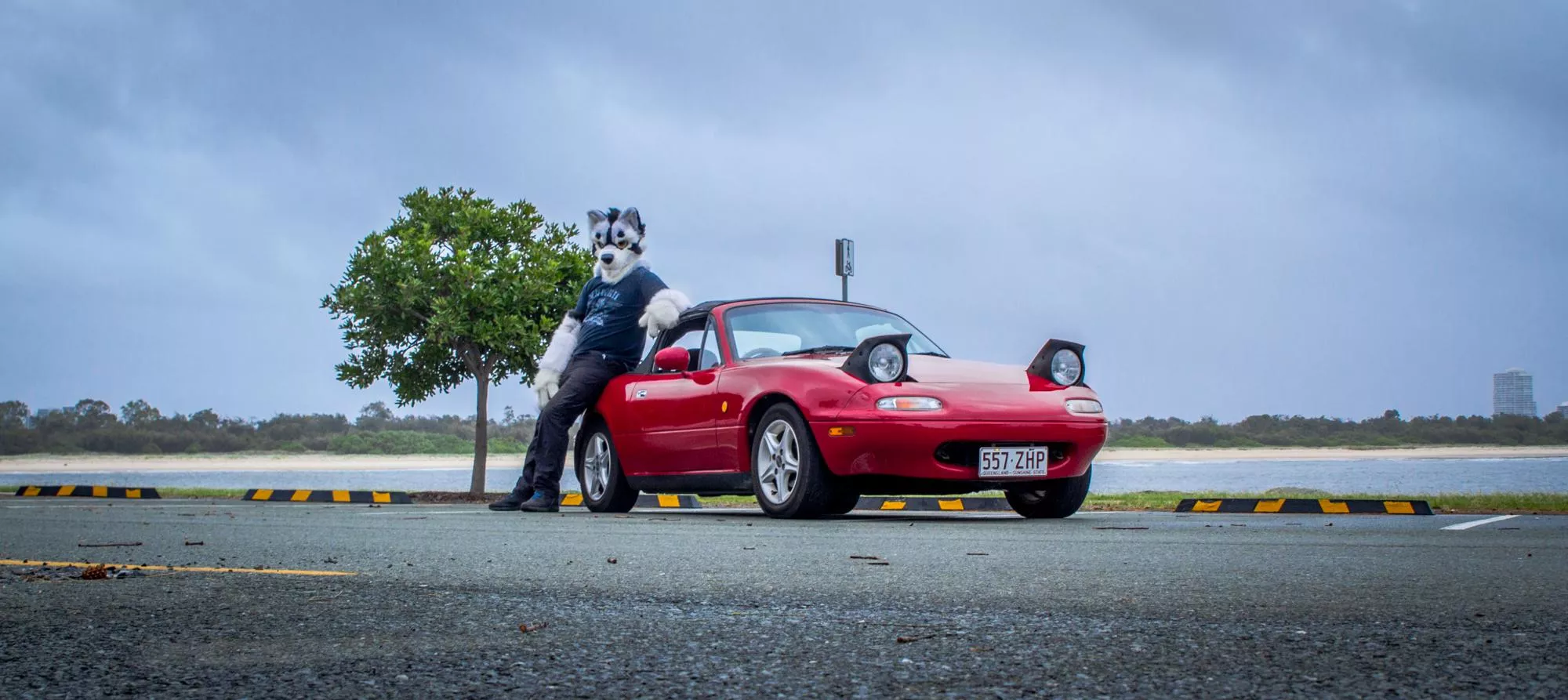 There's nothing more scary to a homophobe than a furry with an MX-5 posted by KumaKishi