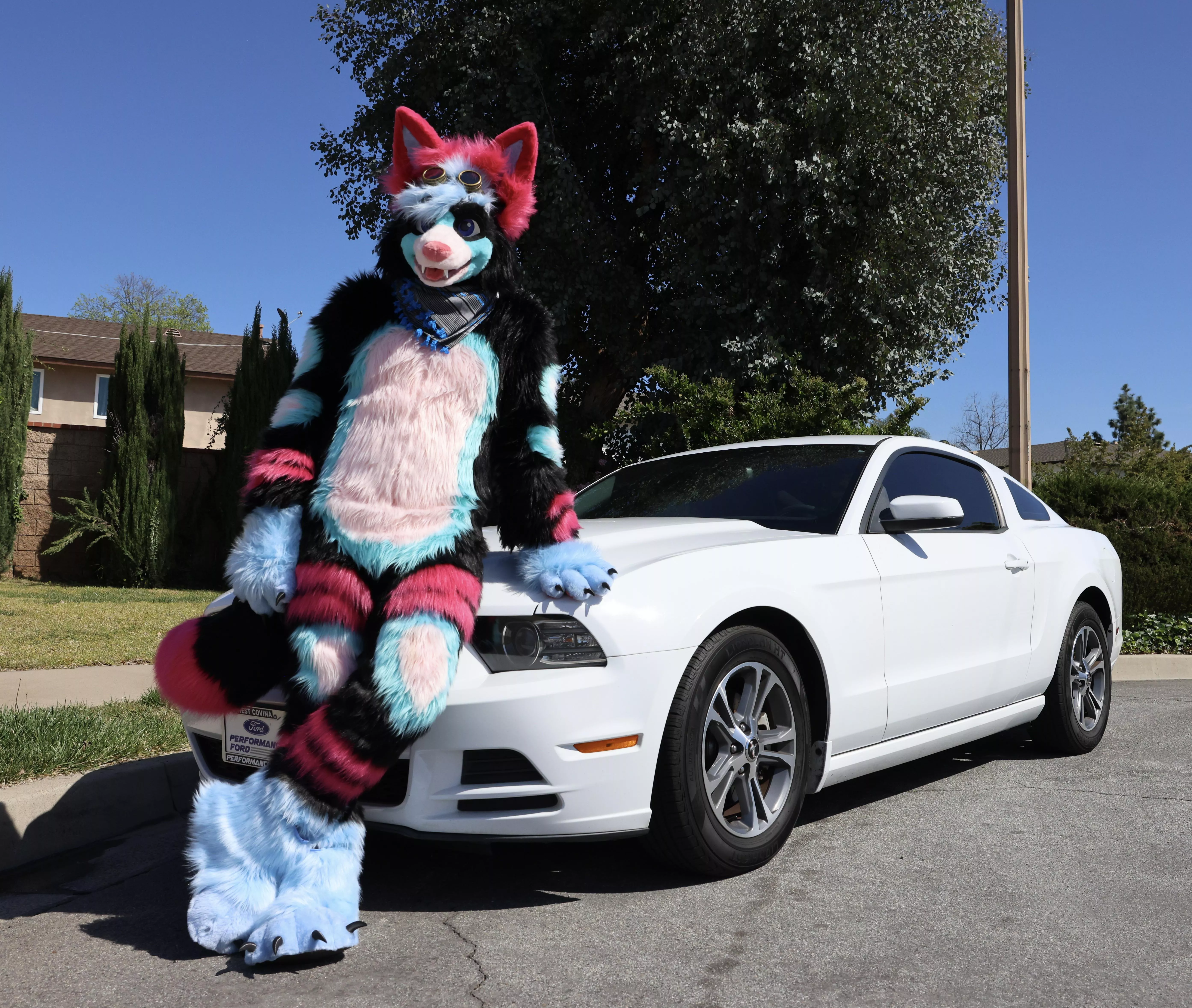 Wanna go on a drive? posted by KemuriTheWolf