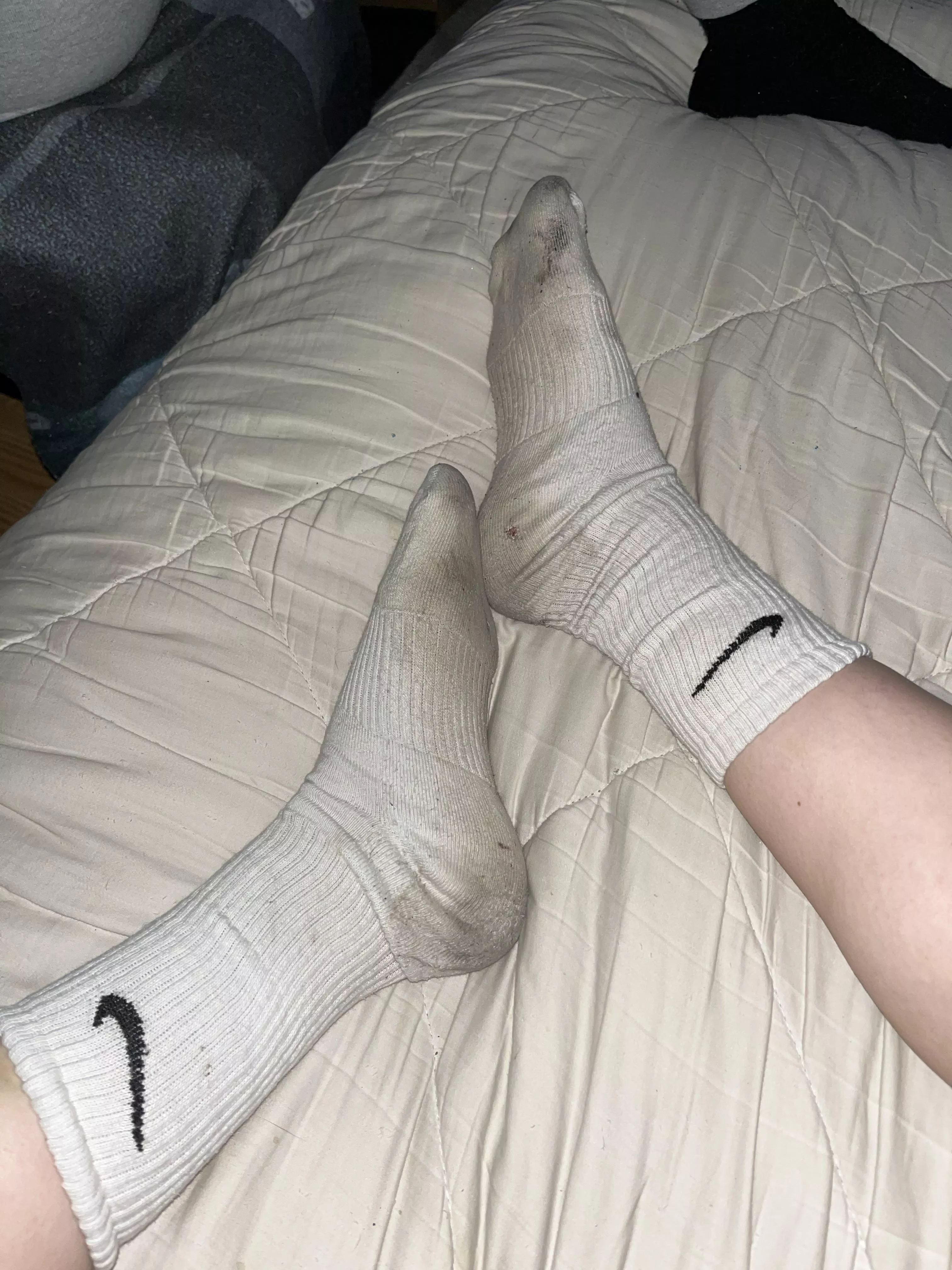 Who wants to sniff these sweaty gym socks that I wore for a week straight? posted by kushkitty6