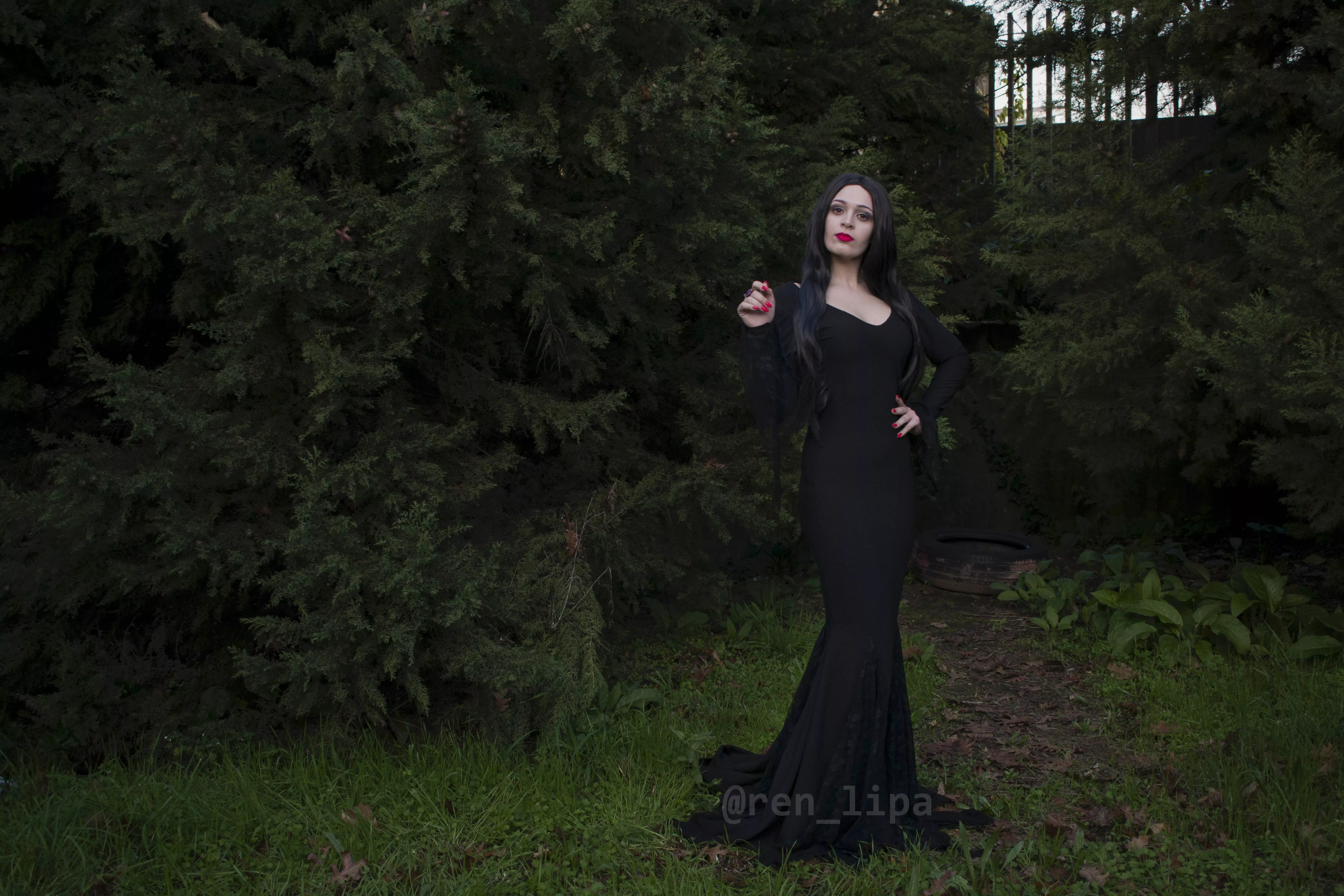 You are dearer to me than all the bats in all the caves in the world - Morticia Addams posted by liparen