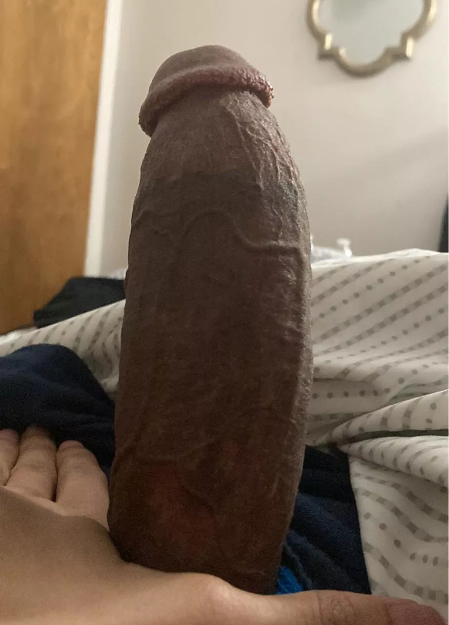 You like my morning wood? posted by SomberStarfall