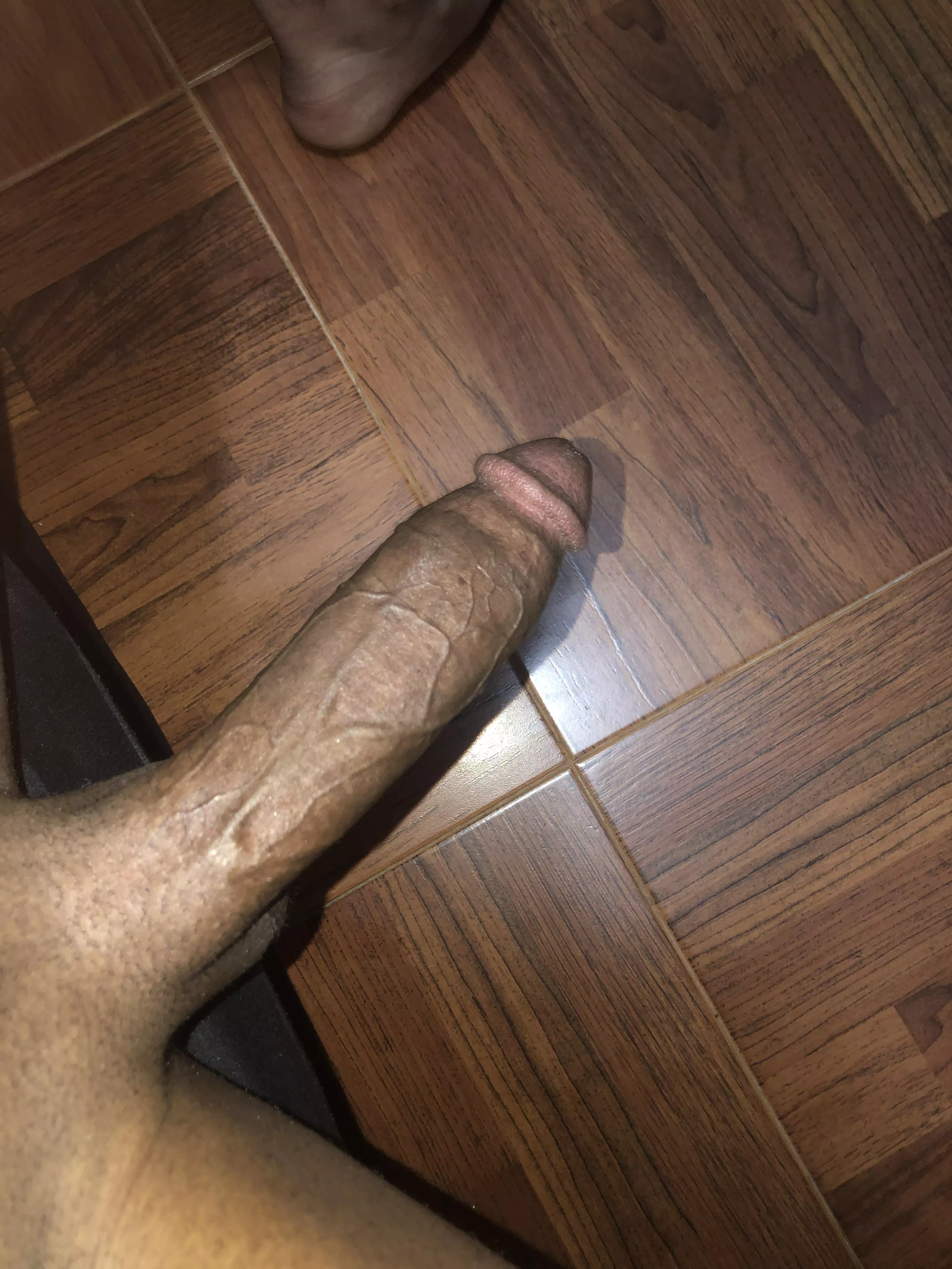 You love this dick ? posted by Kingdread762