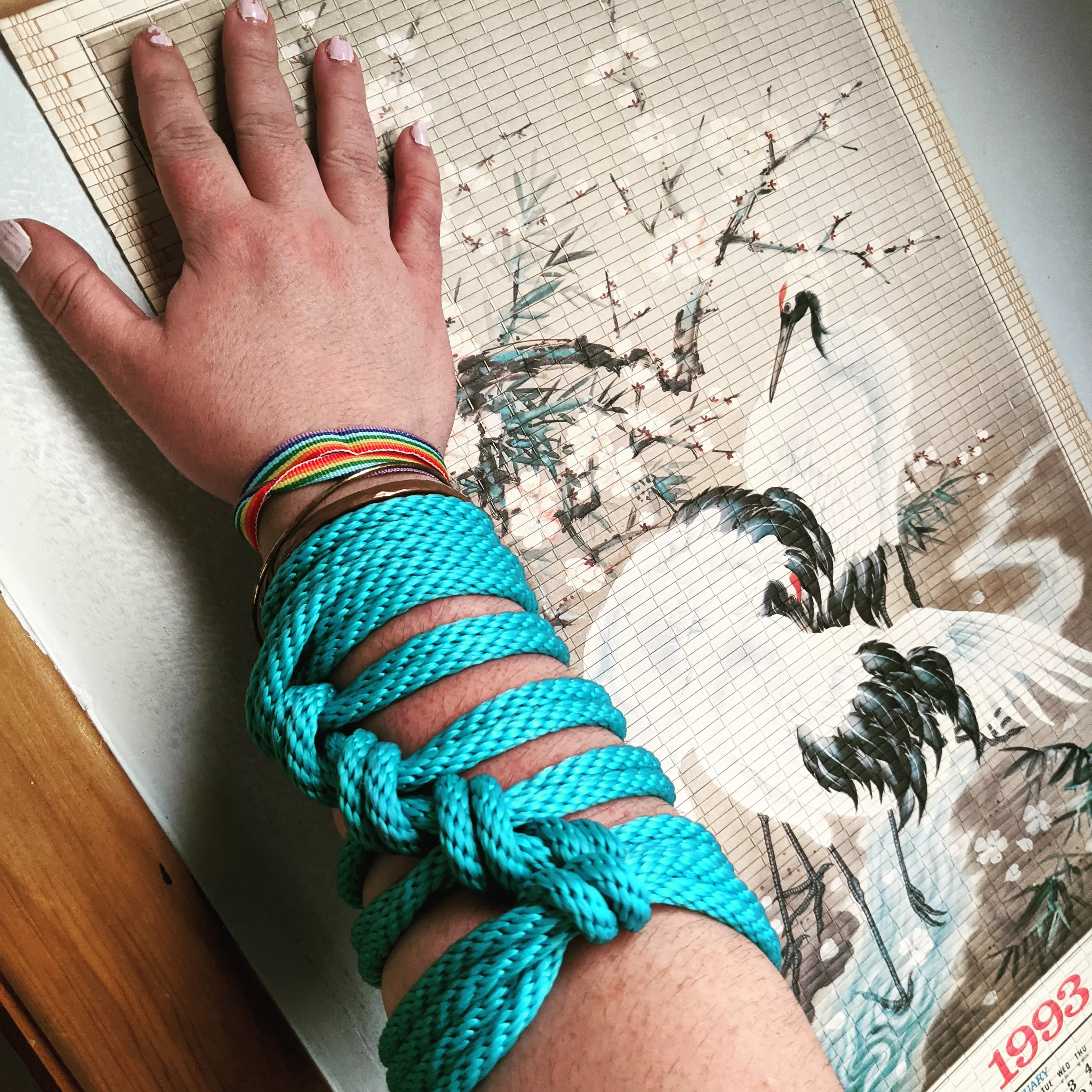 Gauntlet tie, 15 foot, 8 cm synthetic rope from Agreeable Agony brought to you by Leslie Thorp Rope Bunny posted by grlsNprls