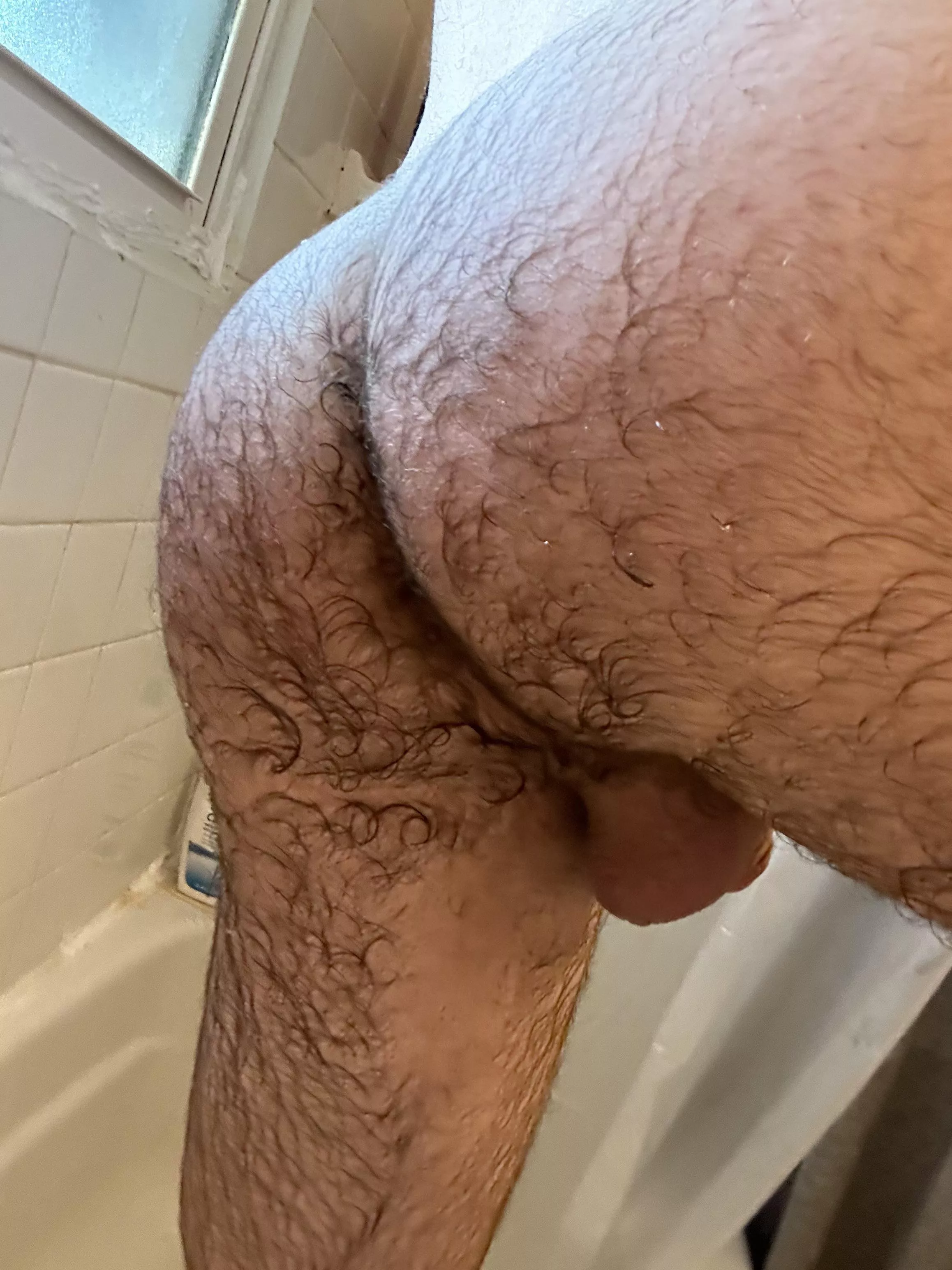 never done this. do you like my hairy ass? posted by grunglebungaloo2