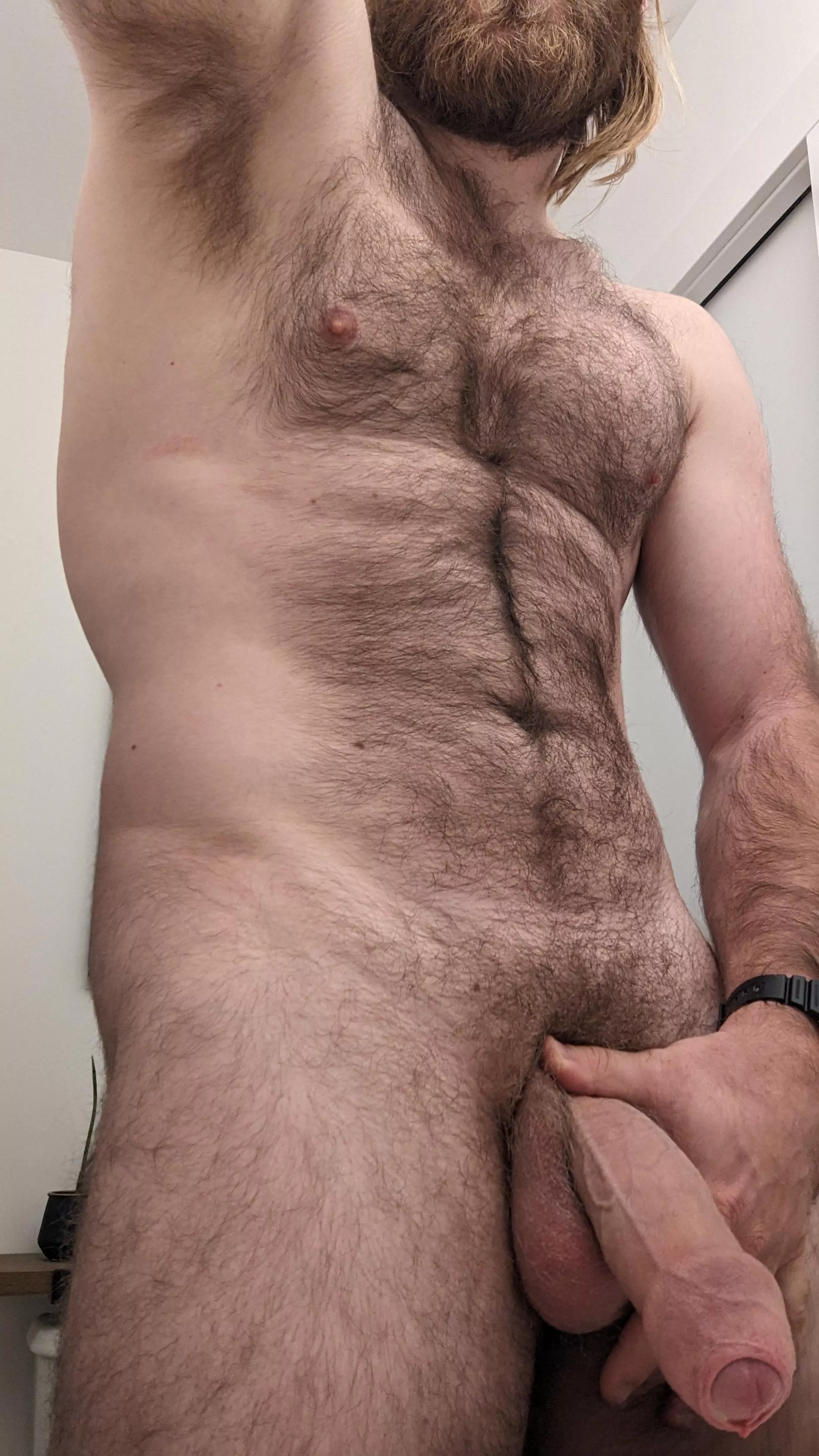 Hairy all over, do you still want to suck it? posted by microman715