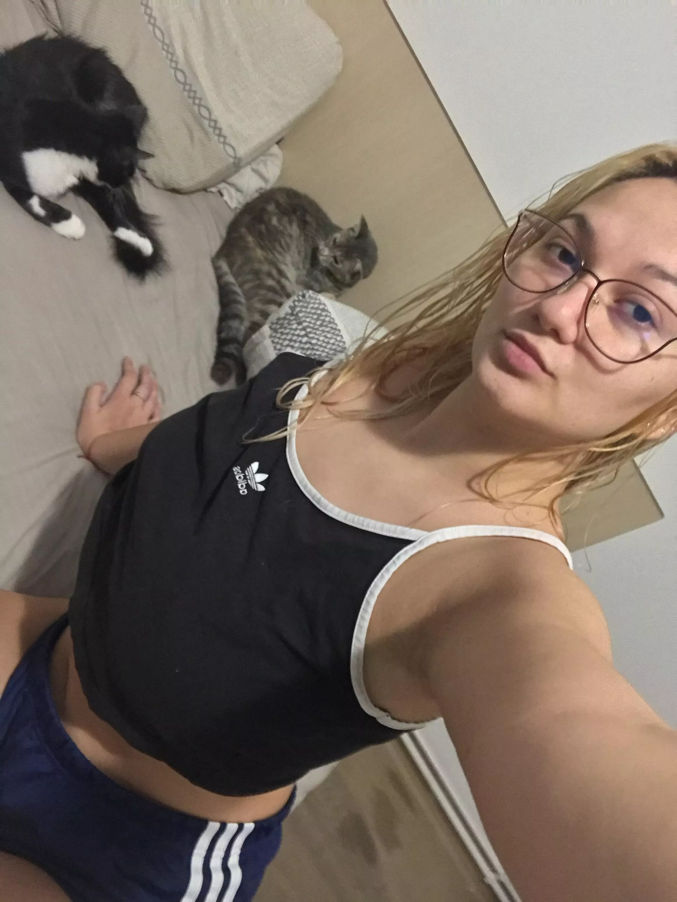 🐈🤓🐈‍⬛ posted by Xxkityx