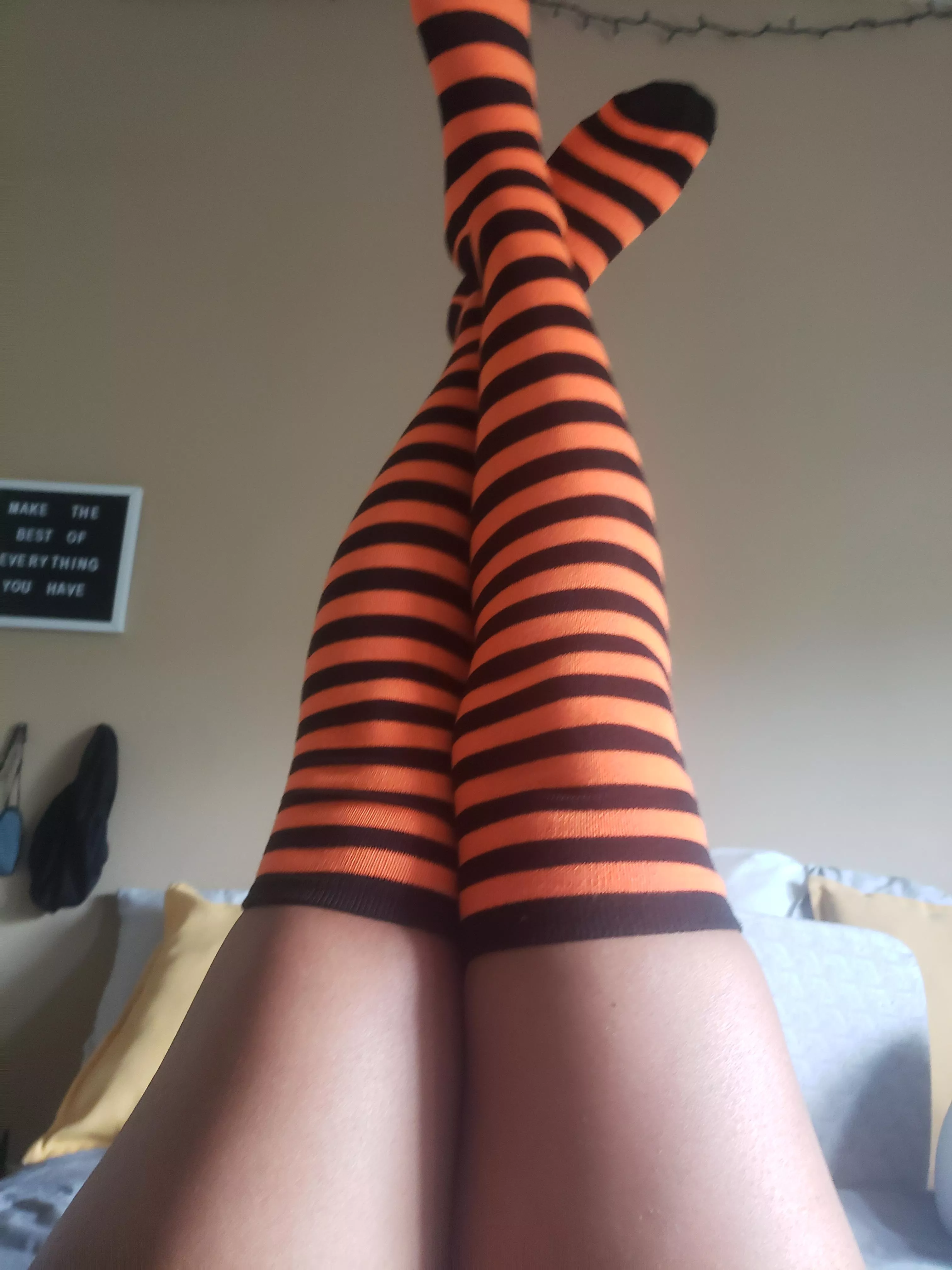 🎃🐈‍⬛🧸🥰 posted by Assthetically_sexy