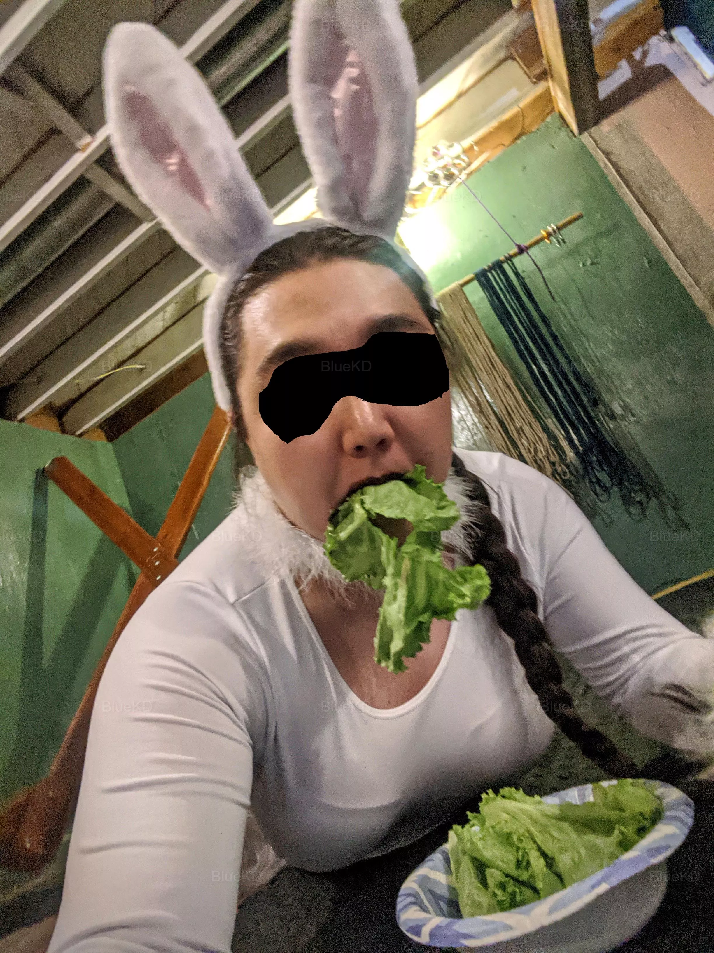 🥗🐇 posted by BlueKD