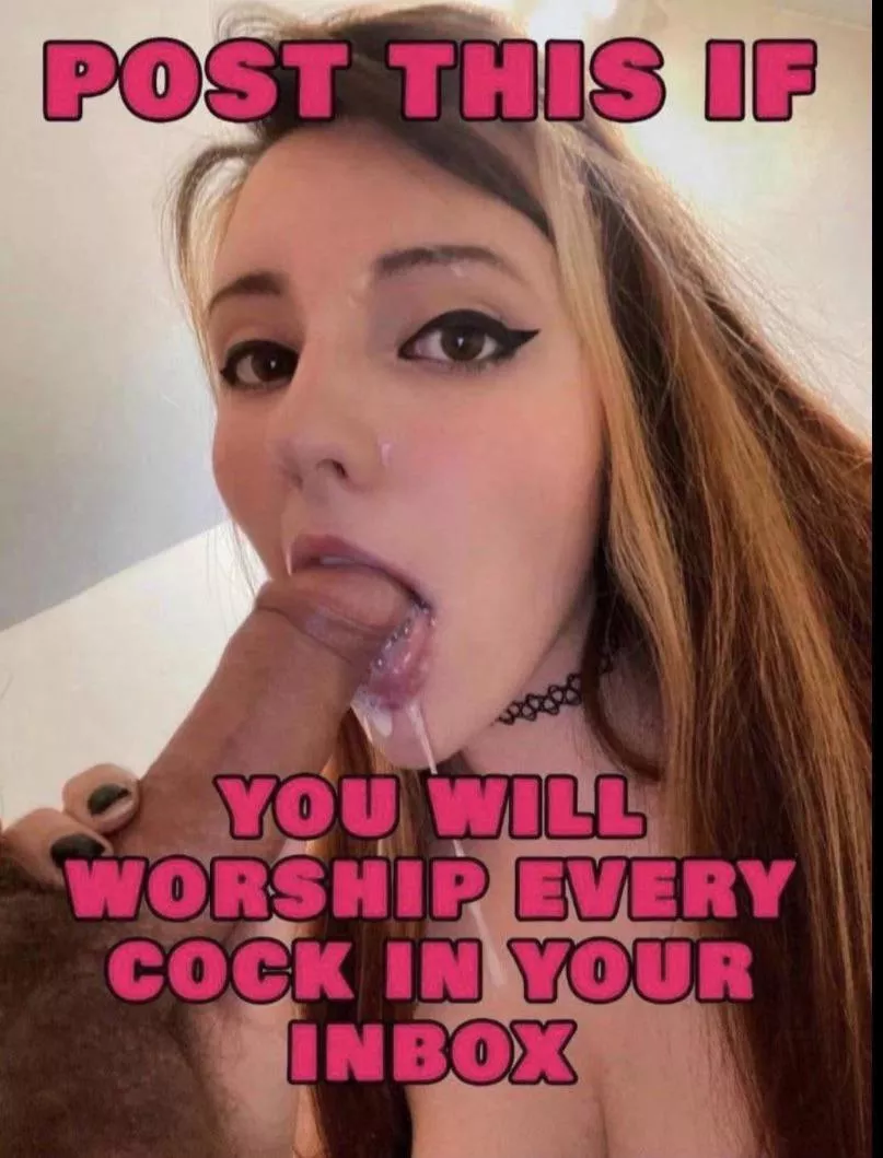 🥵 posted by sissycuckybetabottom