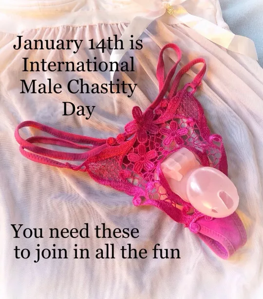 14 January. International male chastity day posted by ambauseksema