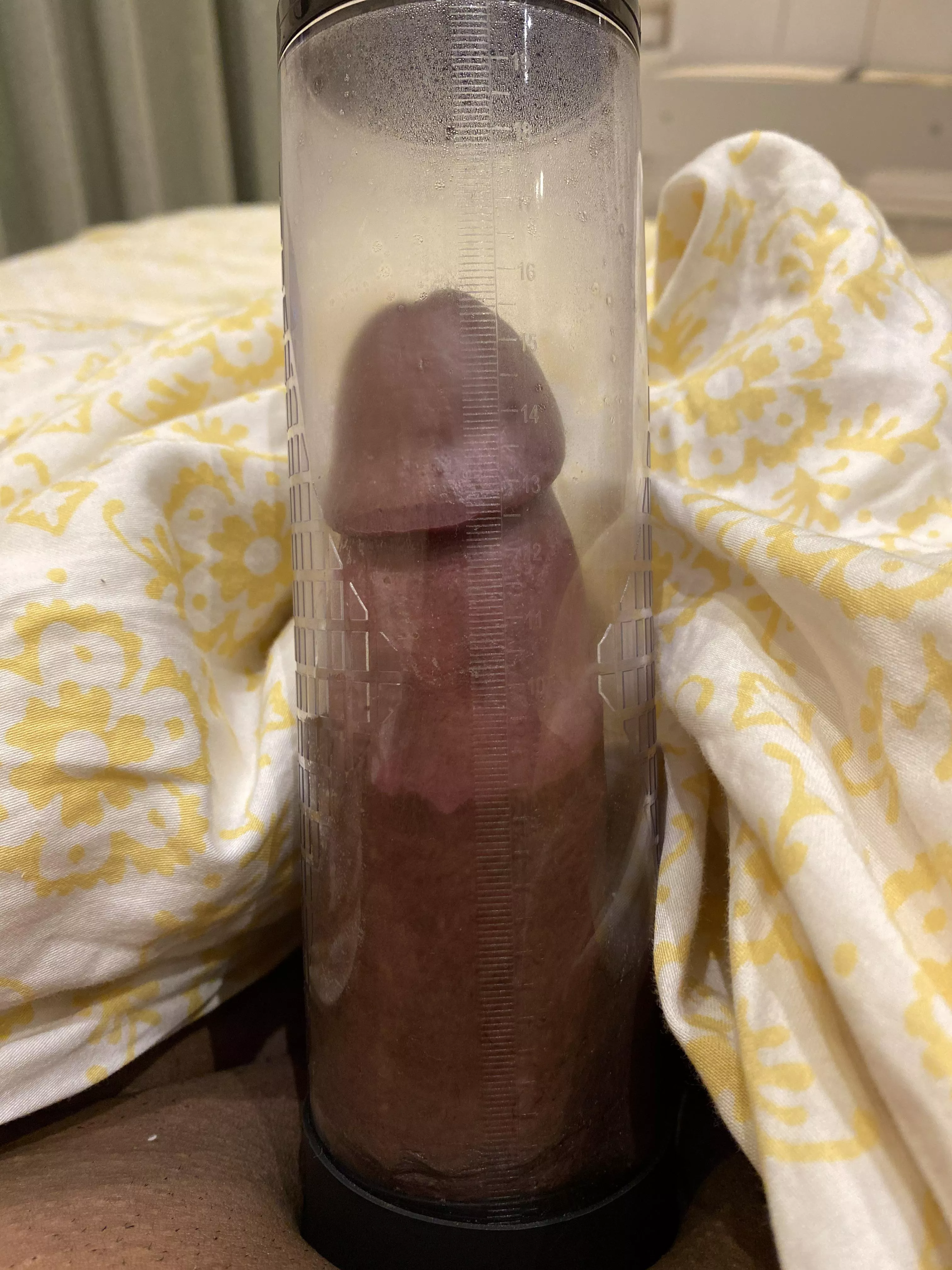 15cm dose it look good? (Beginner) posted by DICK-BOY-15