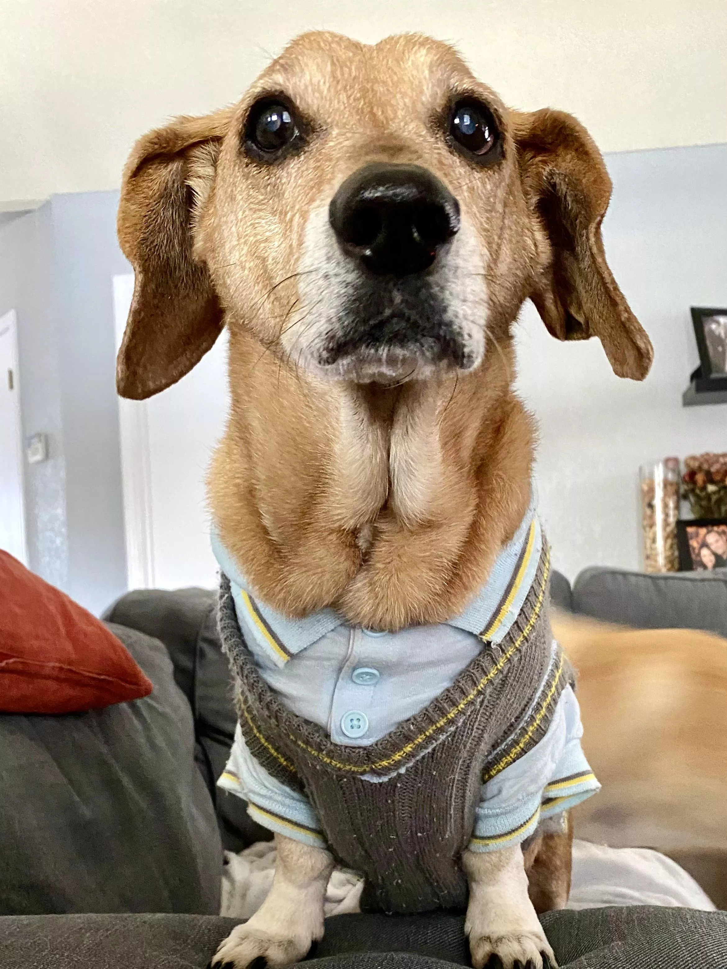 16 years old and looking dapper posted by raccoon-girl