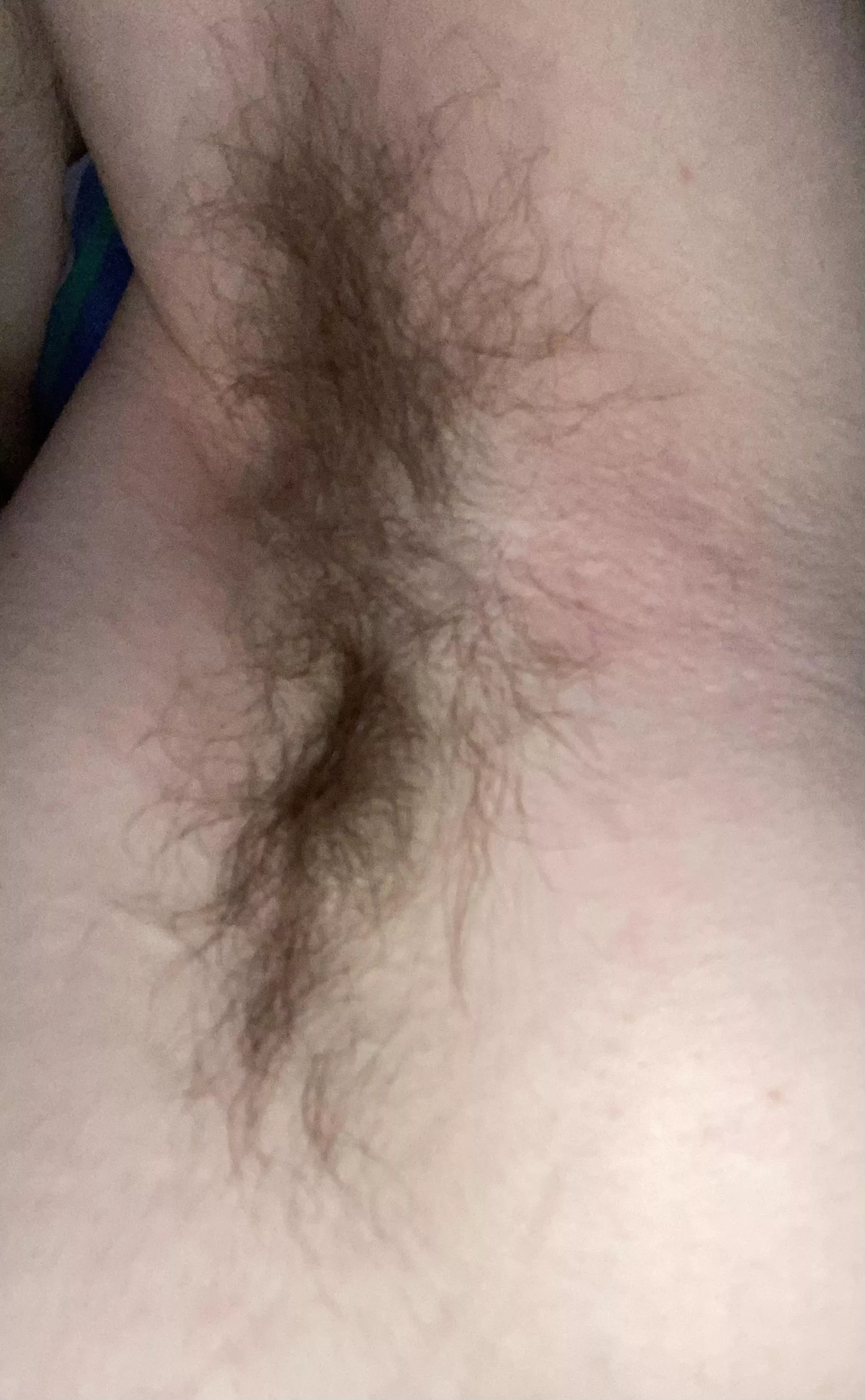 18 thinking of shaving posted by Racoon2020