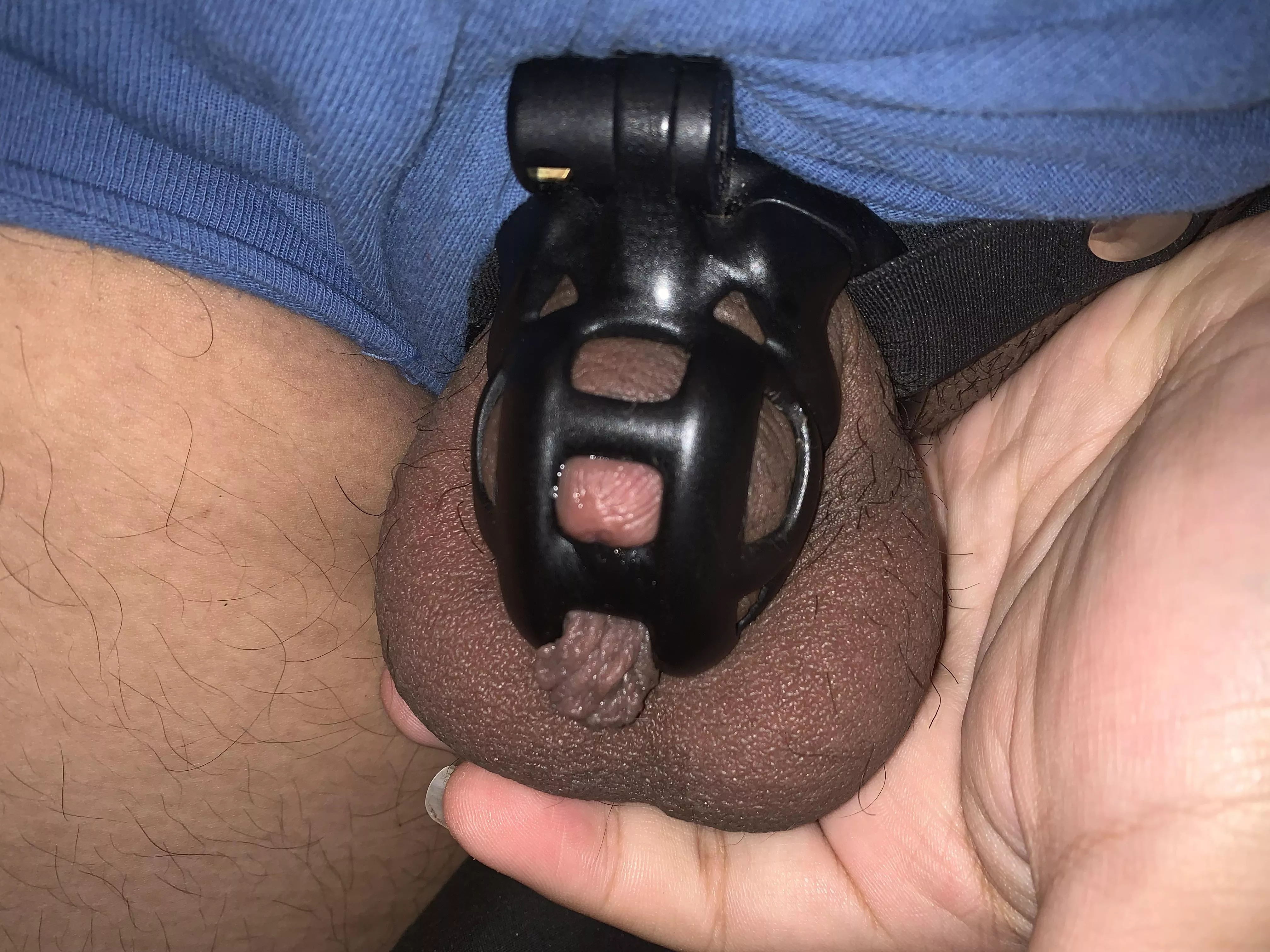 18 y/o - day 25 of locktober, I really have been so horny recently, this really has been my longest time locked ever so farâ€¦ do you think I should stay locked for the rest of 2021? posted by RecommendationFun697