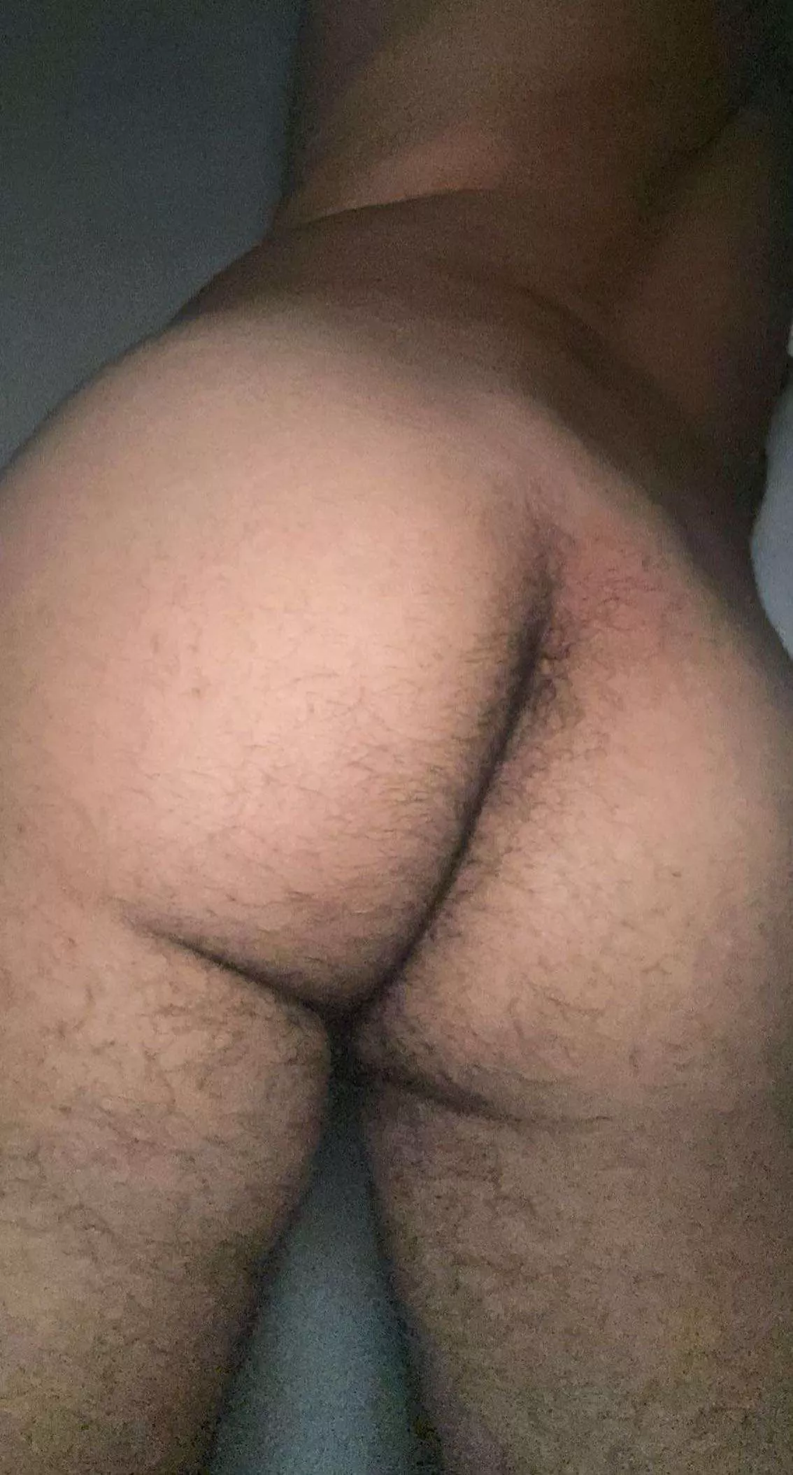 (18m) first time posting here, y’all fw hairy asses? 💦 posted by hotmess6785