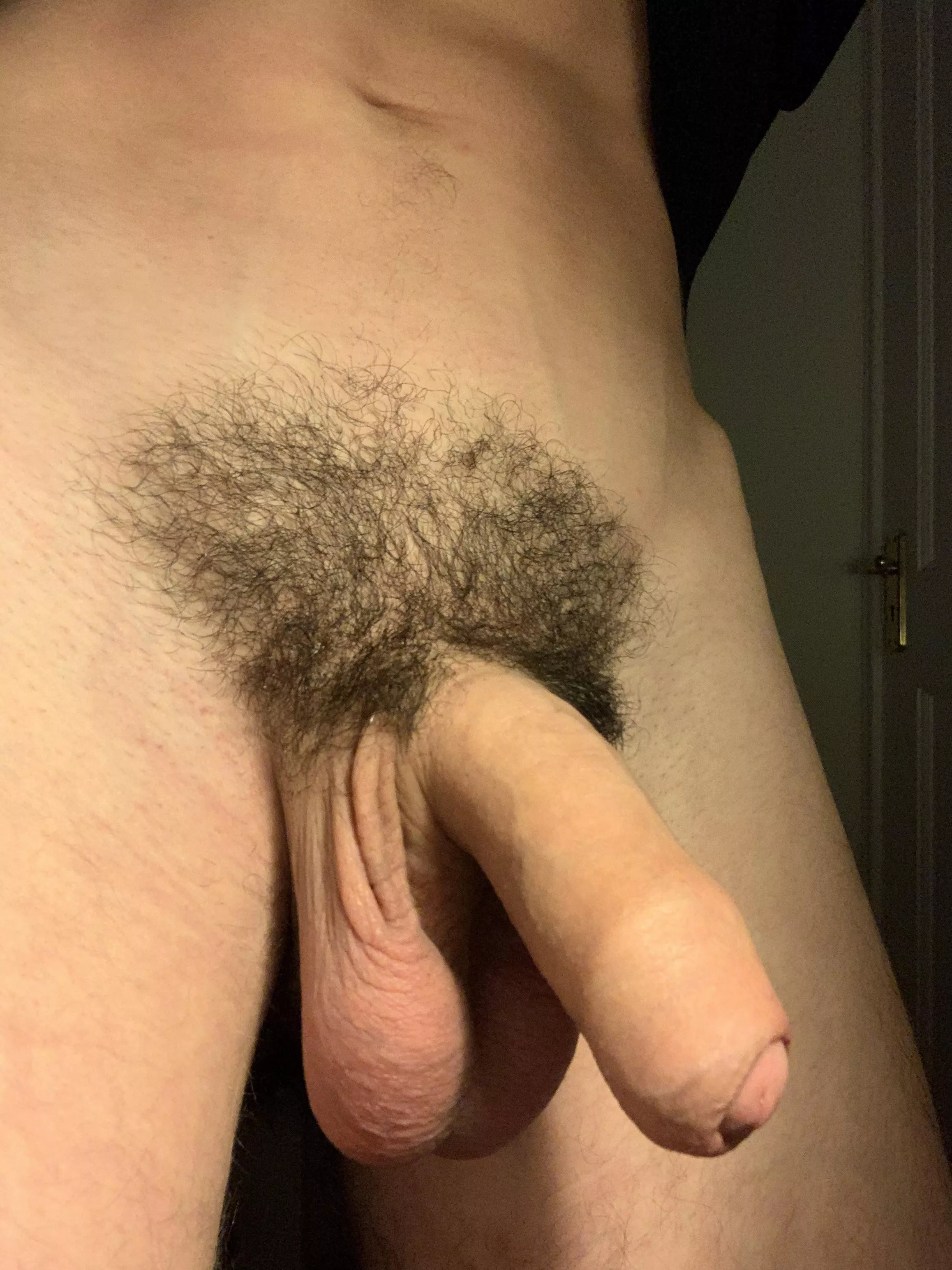 (18M) Who likes uncut cocks with nice pubes? ☺️ posted by Gaymer-Twink