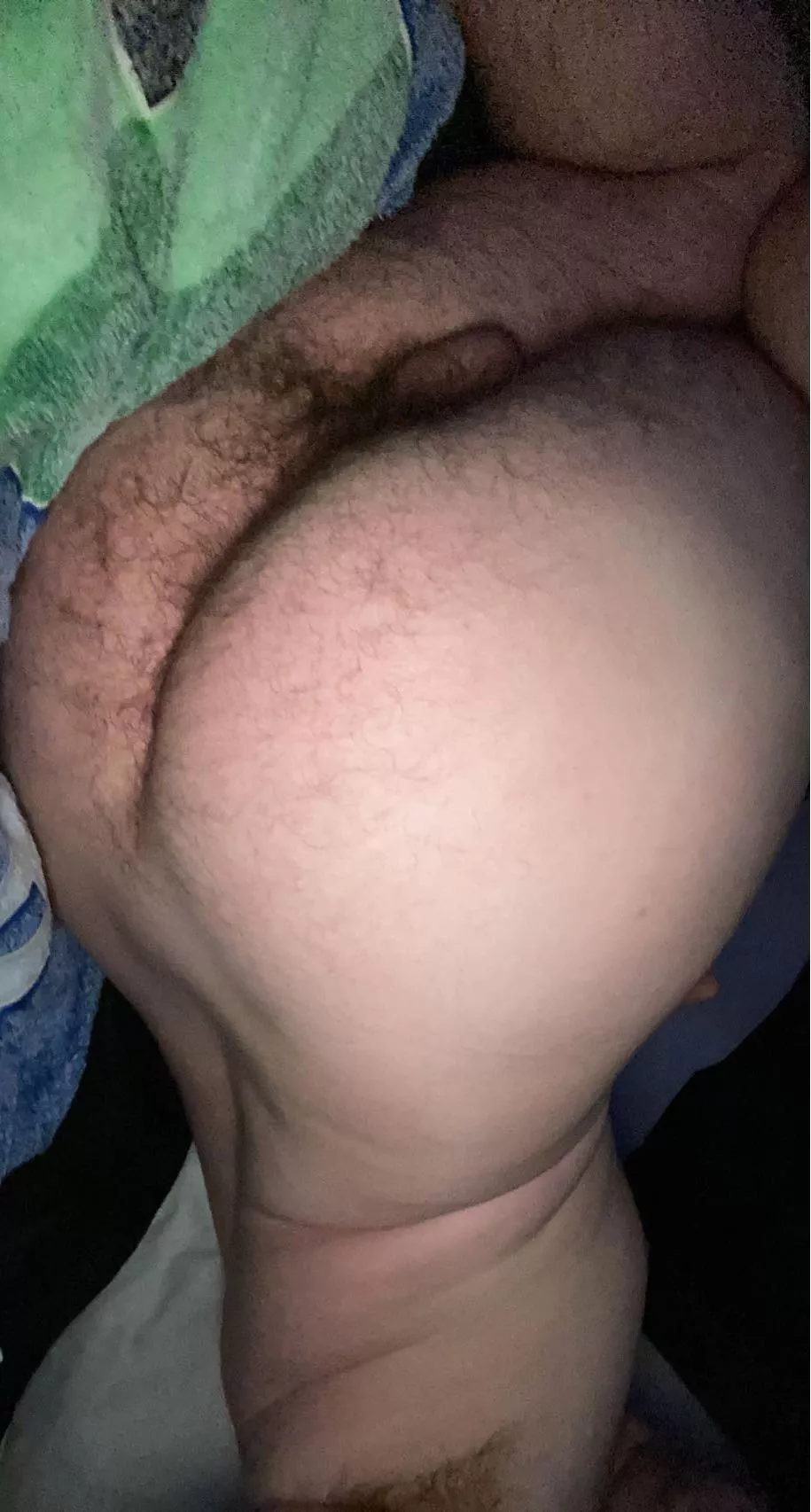 19 m You like this hairy ass? posted by subdombitchboy