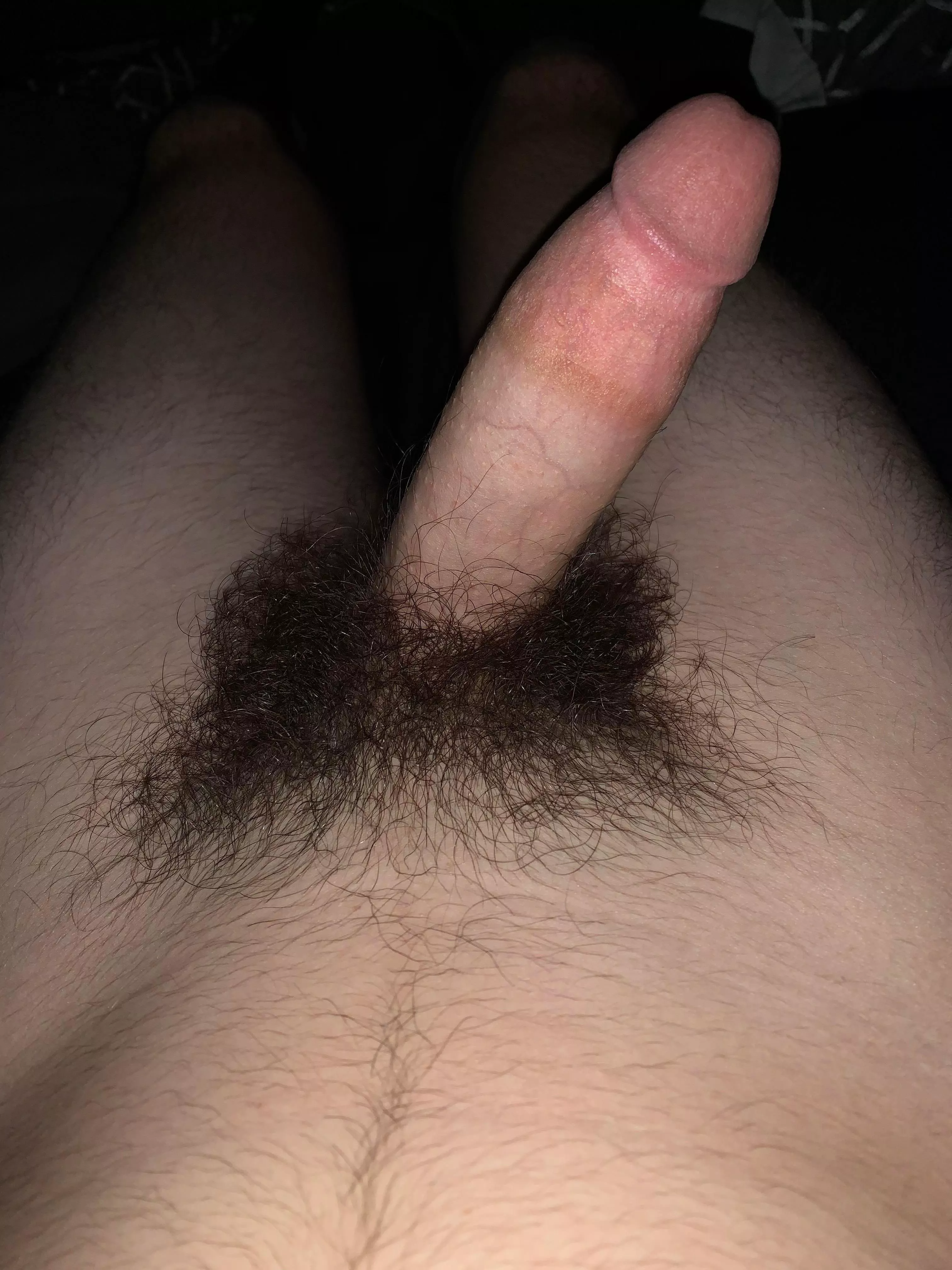 2 years ago today… I miss my pubes 😩 posted by Tip2115