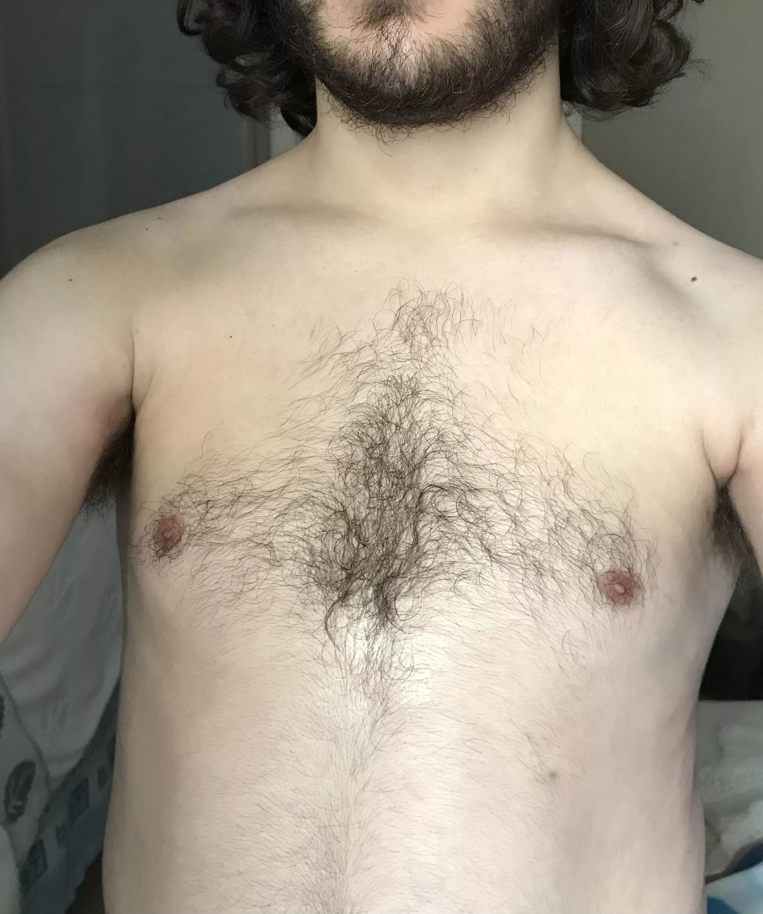 [20M] Who wants to run their hands through my sweaty hairy chest? posted by WhollyGayThrowaway