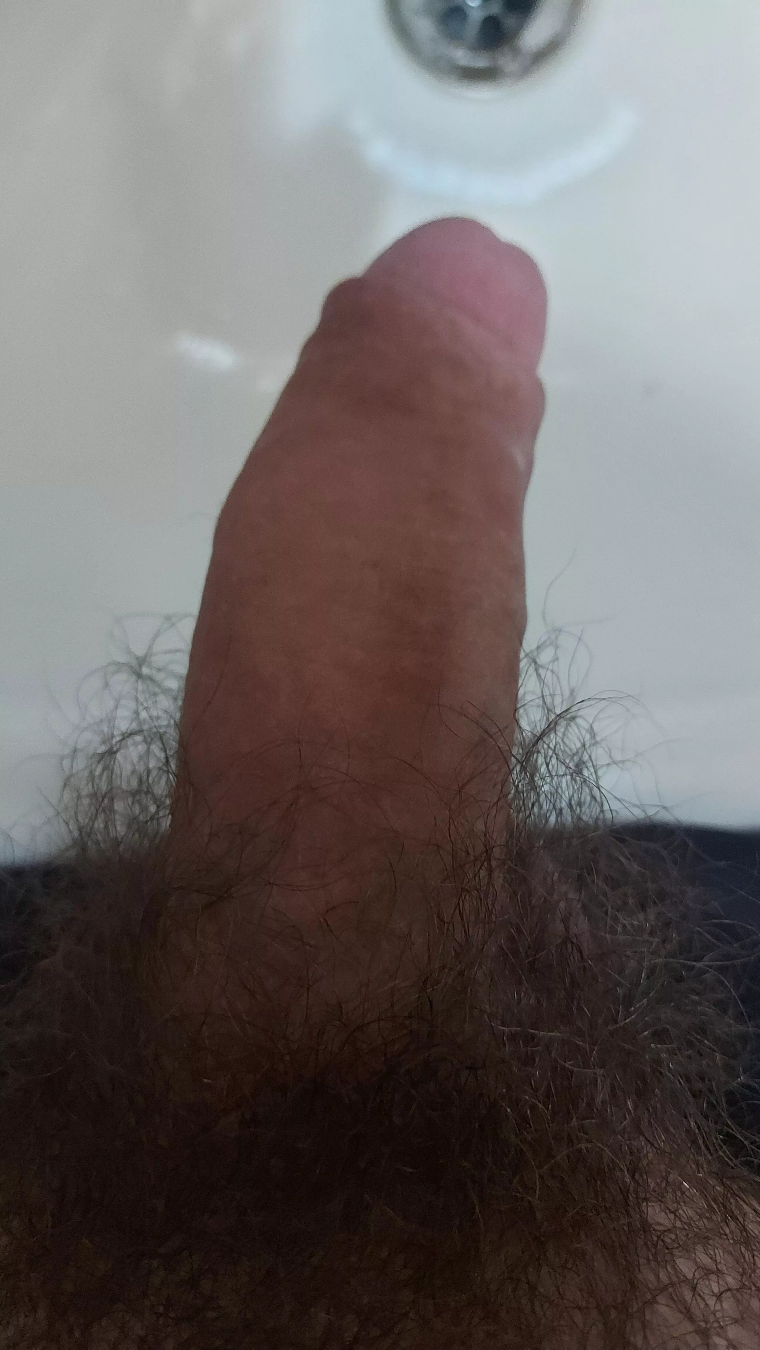 21 Bi. So horny rn. Dm open posted by evengreen234