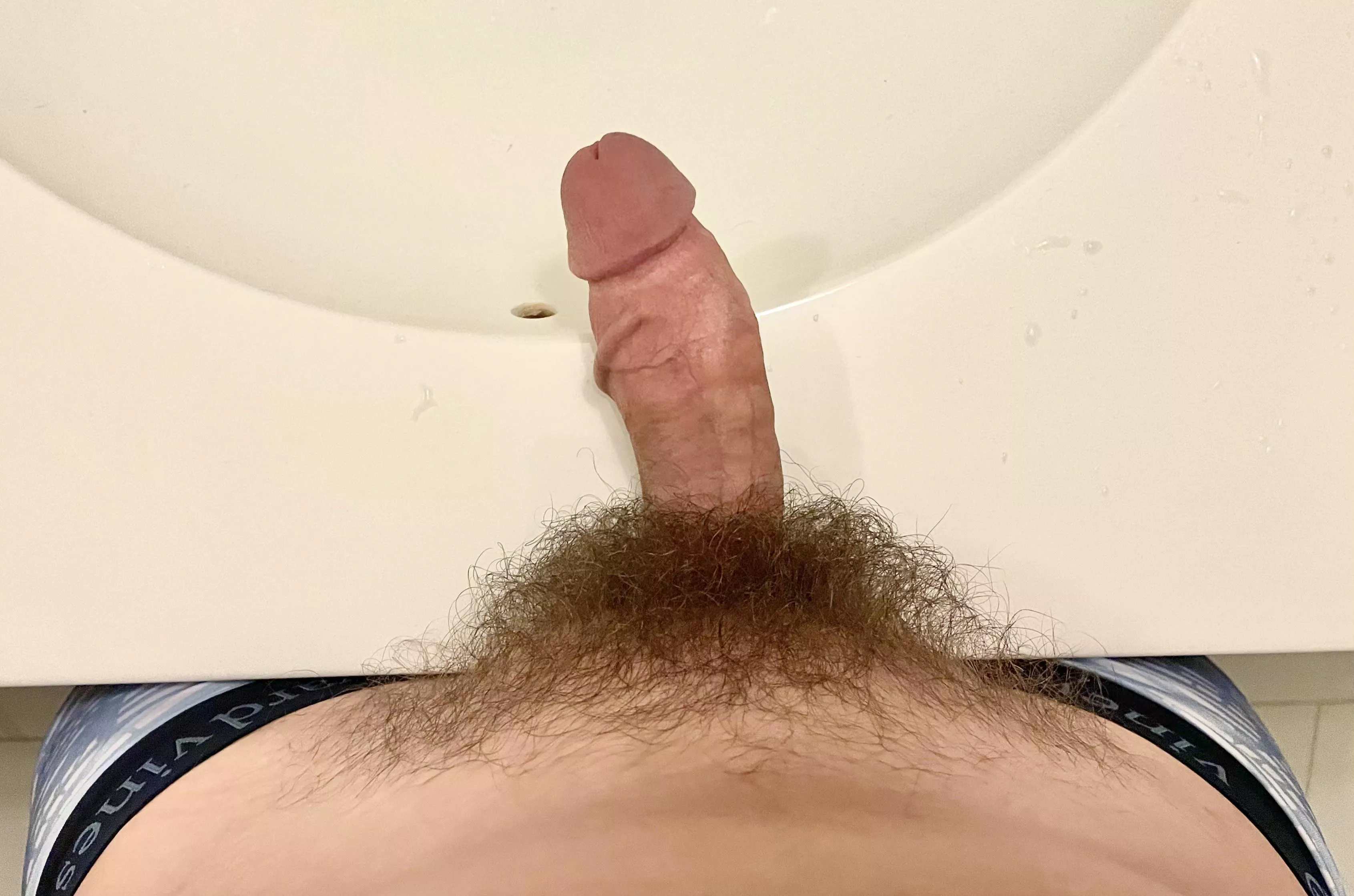 [21] Love showing off my hard cock and pubes posted by nicksharddick