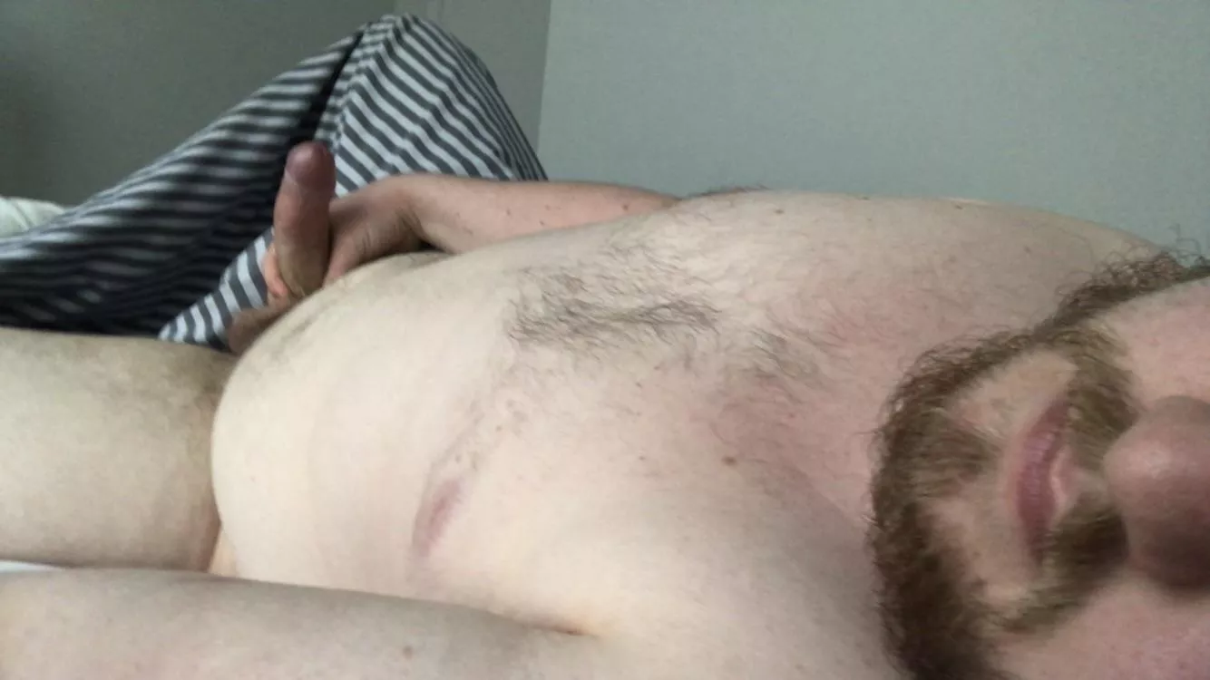 21 year old cub here. First time posting here. Need a daddy. posted by bearlover888