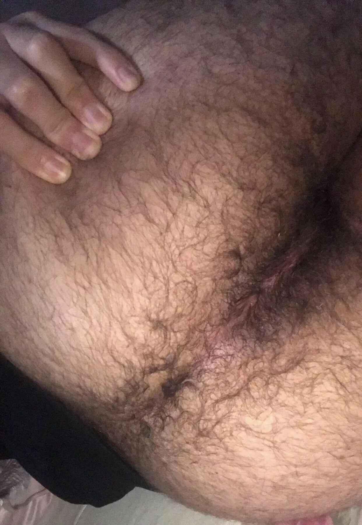 21m arabe hairy vers snap : ryanvers22 posted by Inevitable-Manager-6