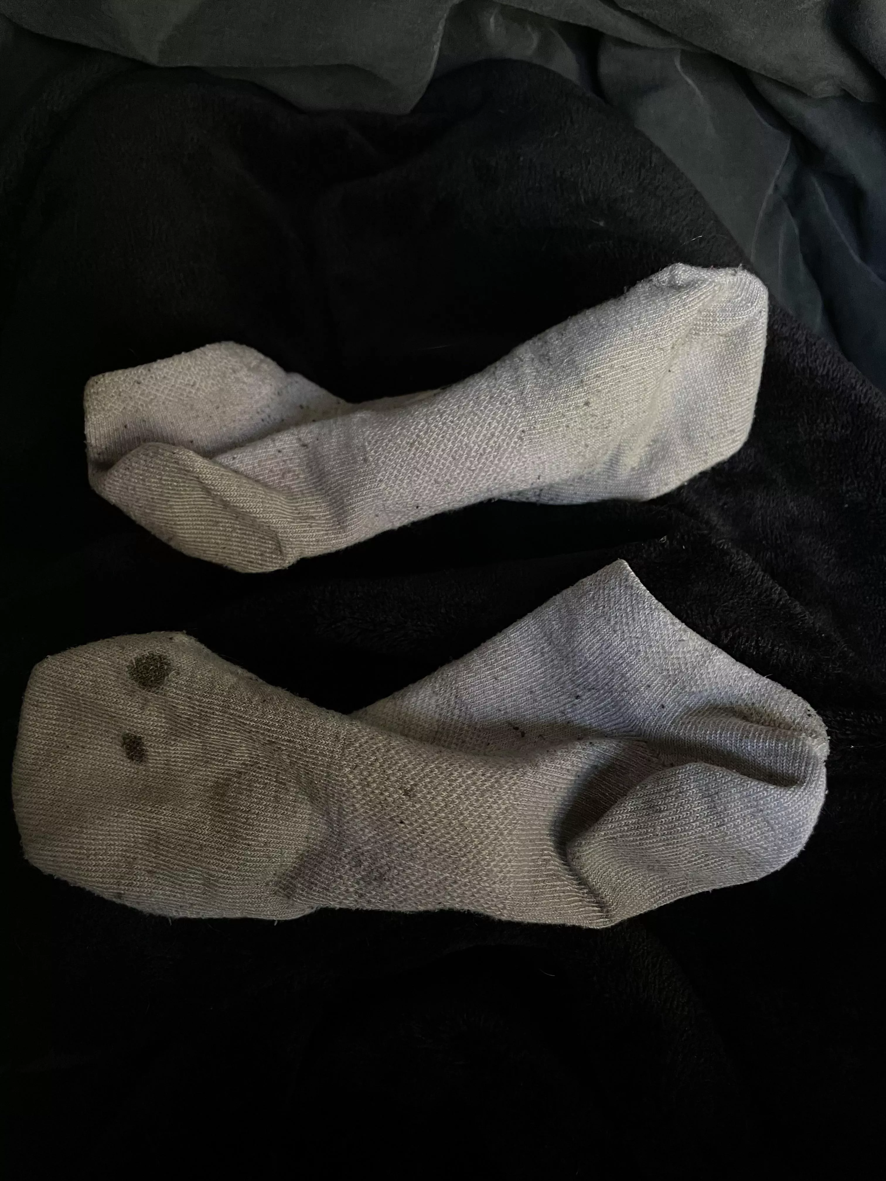 22 y/o girl sweaty stale socks ;) wore these on a road trip for 4 days with no showers And did tonsss of walking in them. Just DM me I know you wanna sniff :) posted by SmellMyTreasures