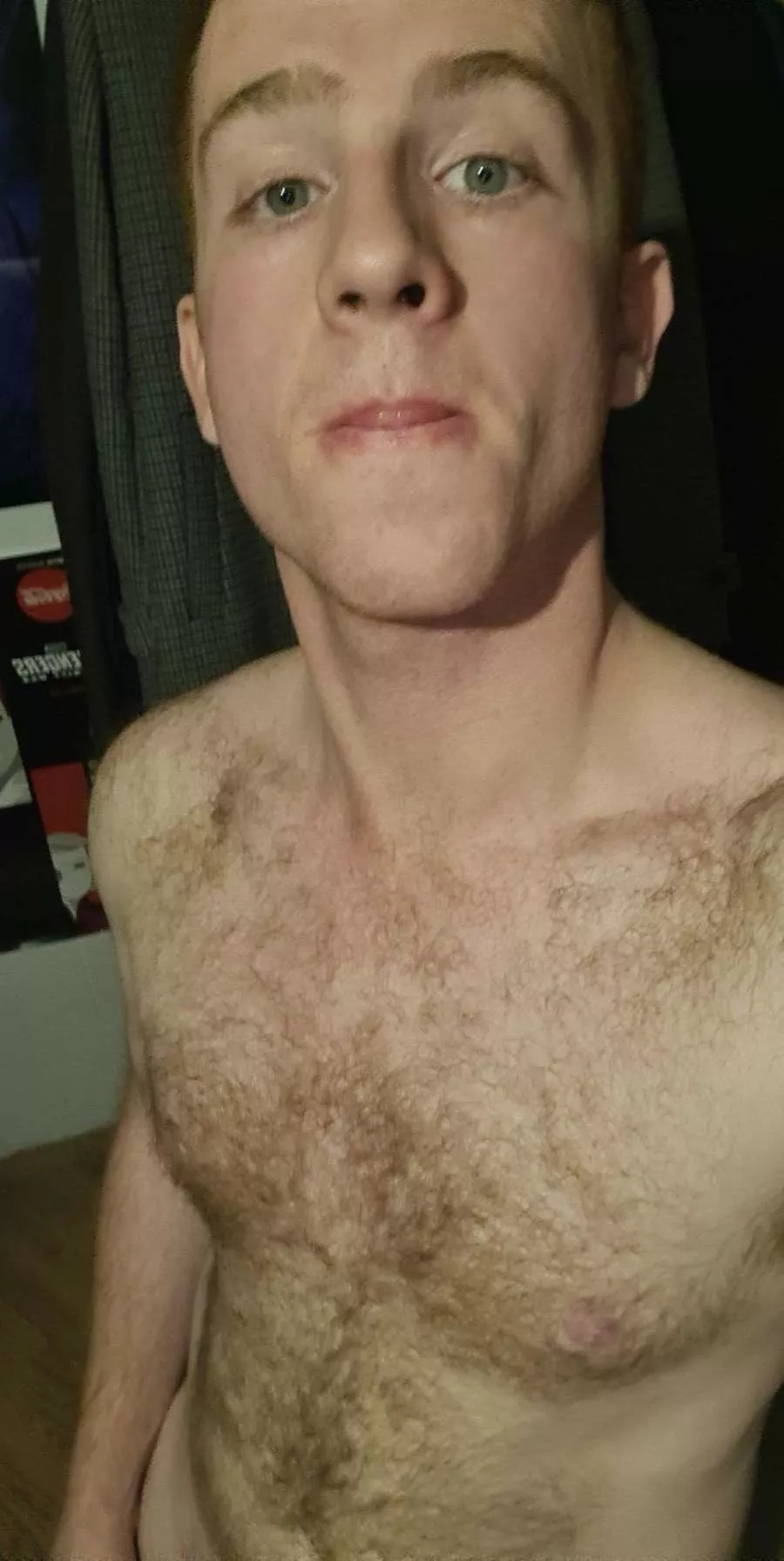 23 hairy ginger top hmu if your twink or a twunk posted by hardgingerbear