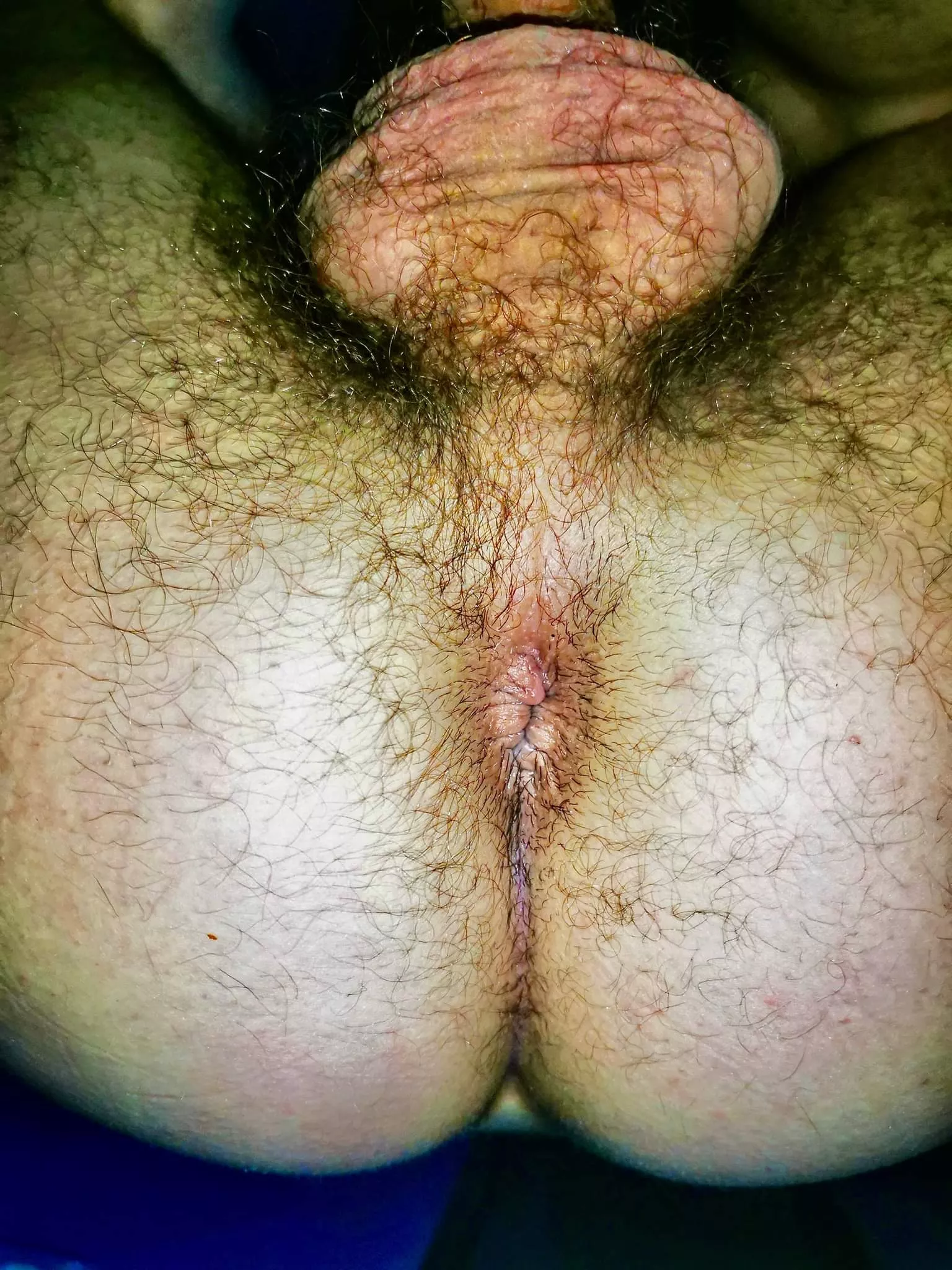 [23] Pound my hole and fill me up with cum posted by cjfam005