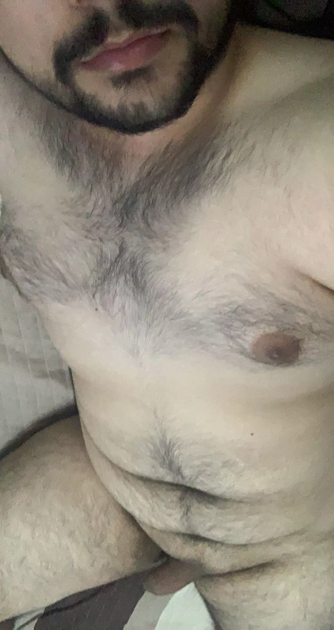 24 chub. Older bears are way hotter right? posted by Intelligent_Cook_121