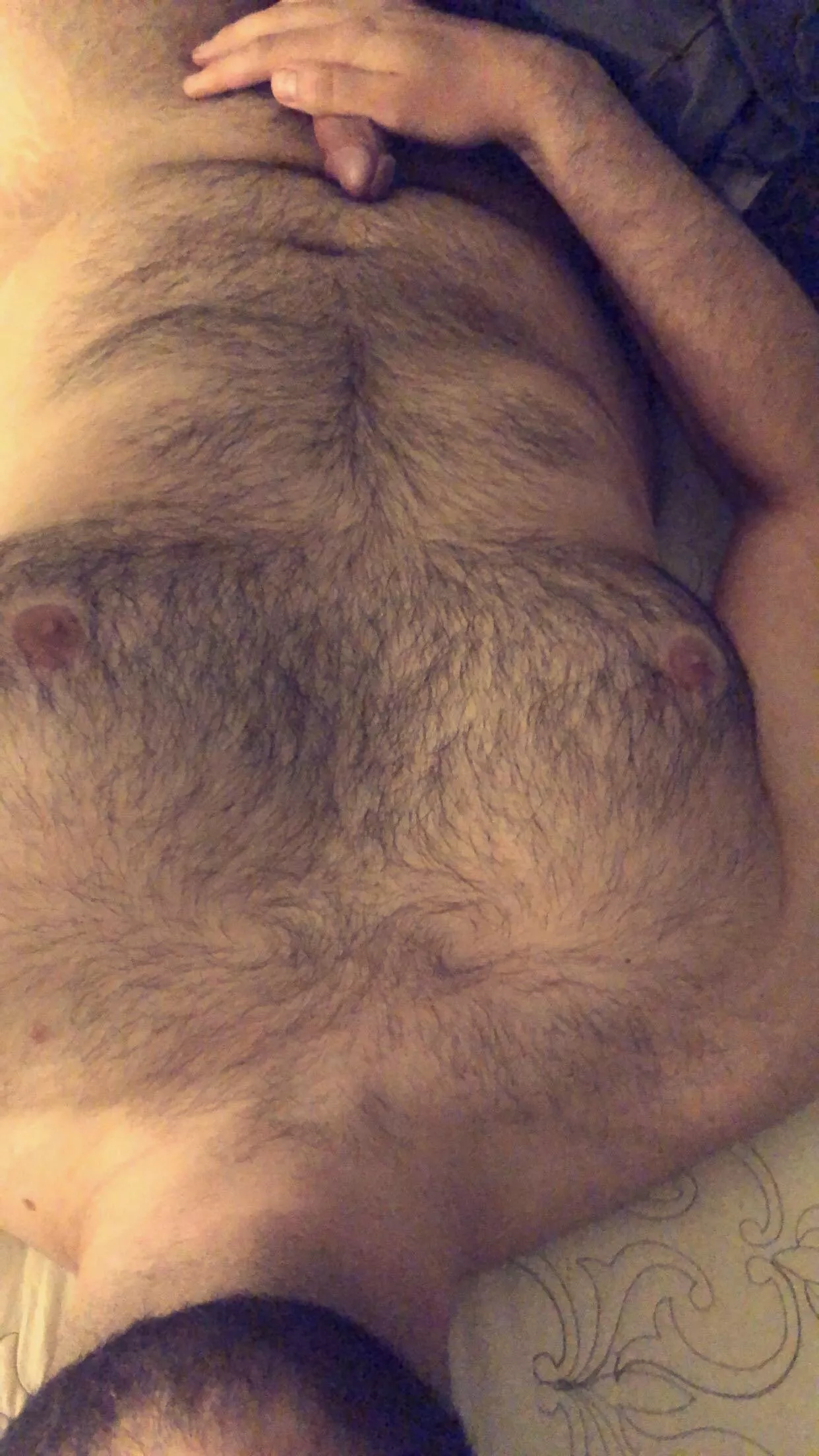 27, hairy, bi for fun posted by usmfks