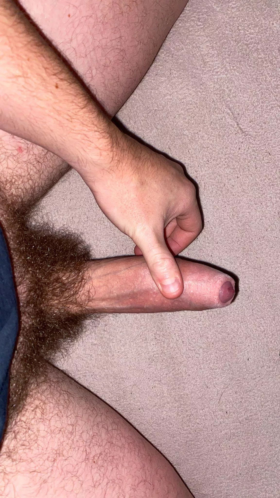 28 m/ looking for hairy dick wank buddy with ONLY !! untrimmed natural bush the hairier you are the better and with FACE snap: marc.boy23 😁 posted by Hairygayboy1