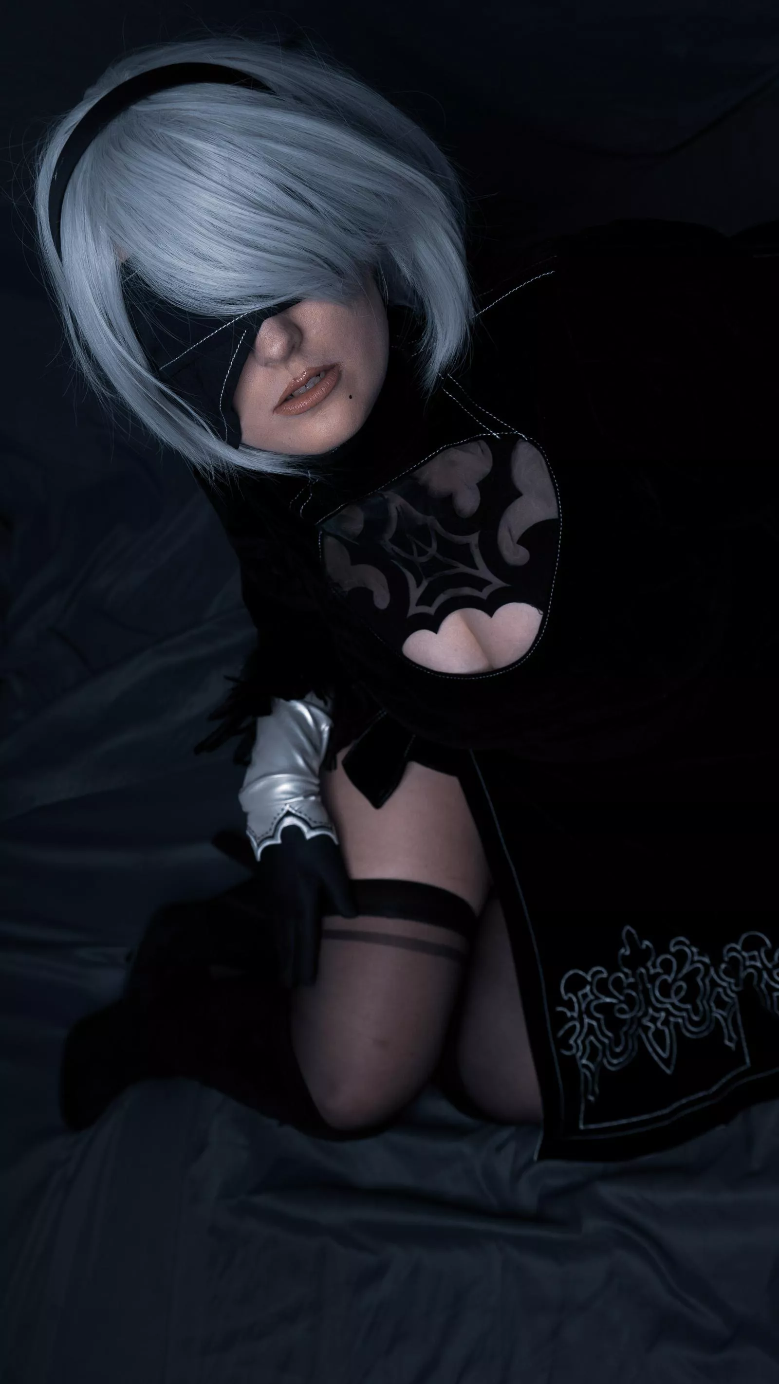 2B from Nier:Automata posted by QueenieSoles