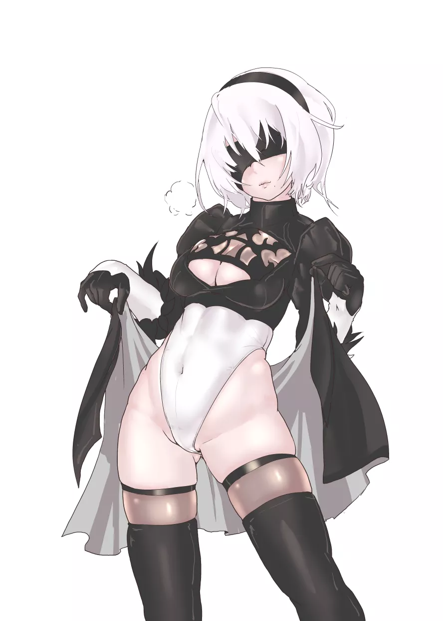 2B Taking Off Her Skirt (Mersoleil03) [Nier] (x-post from r/animebodysuits) posted by sequence_string