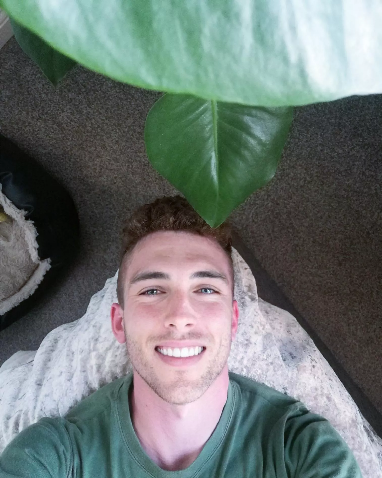 3 things I love: plants, dog and bed ðŸŒ±ðŸ¶ðŸ›ï¸ posted by danwithad95