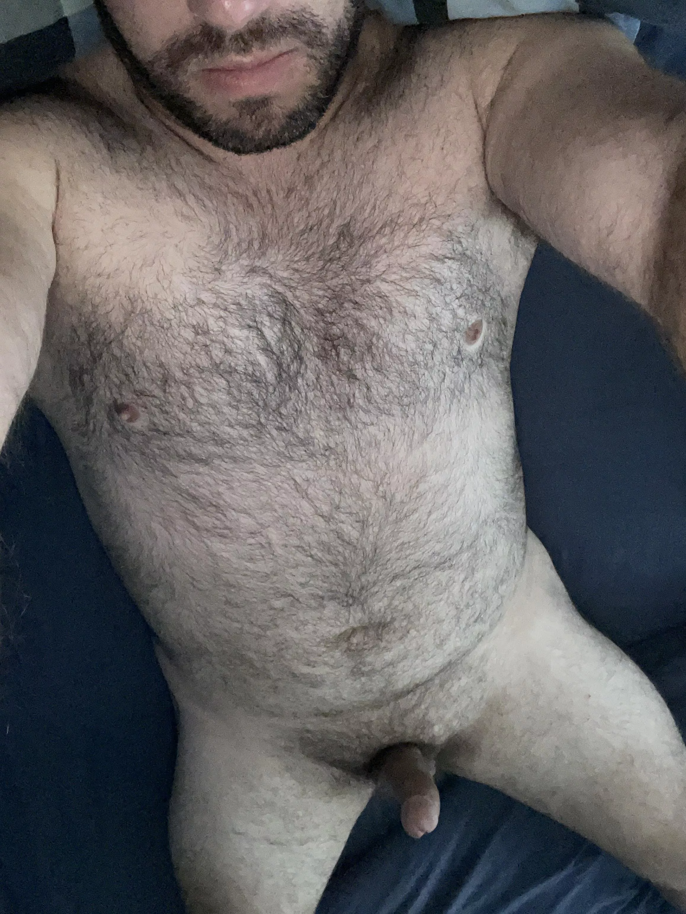 30 horny Aussie bear! Feel free to tell me what you think or what you’d do to me. DM’s open posted by biaussieguy91