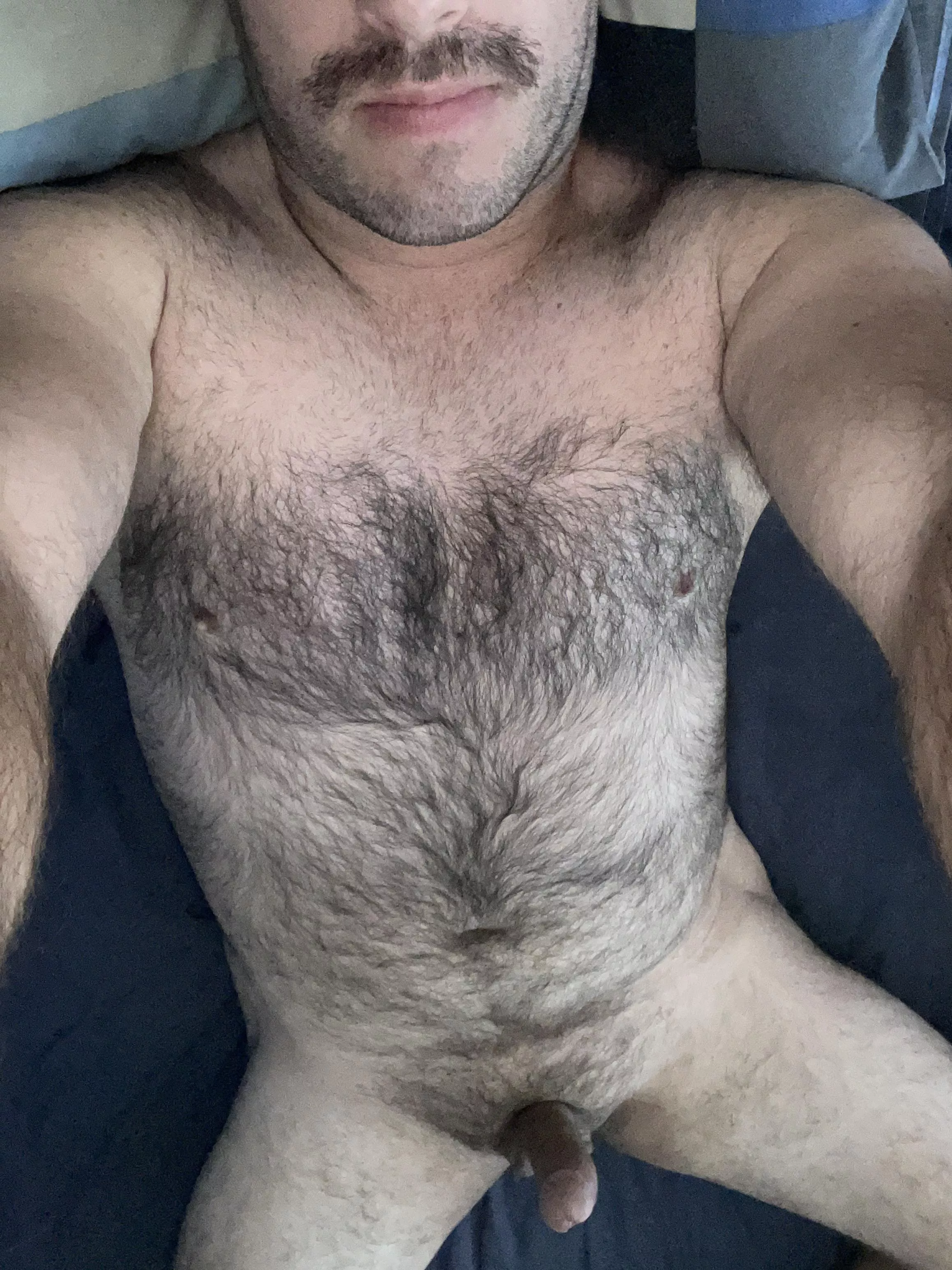 30yr old Aussie bi bear, tell me what you think. DM’s open, snap on profile too ;) posted by biaussieguy91