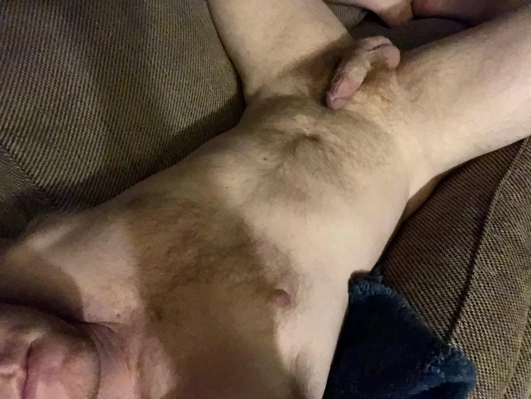 33M 5â€™10 205lbs Just a nude dude lounging and trying to build post divorce confidence posted by recently-divorced