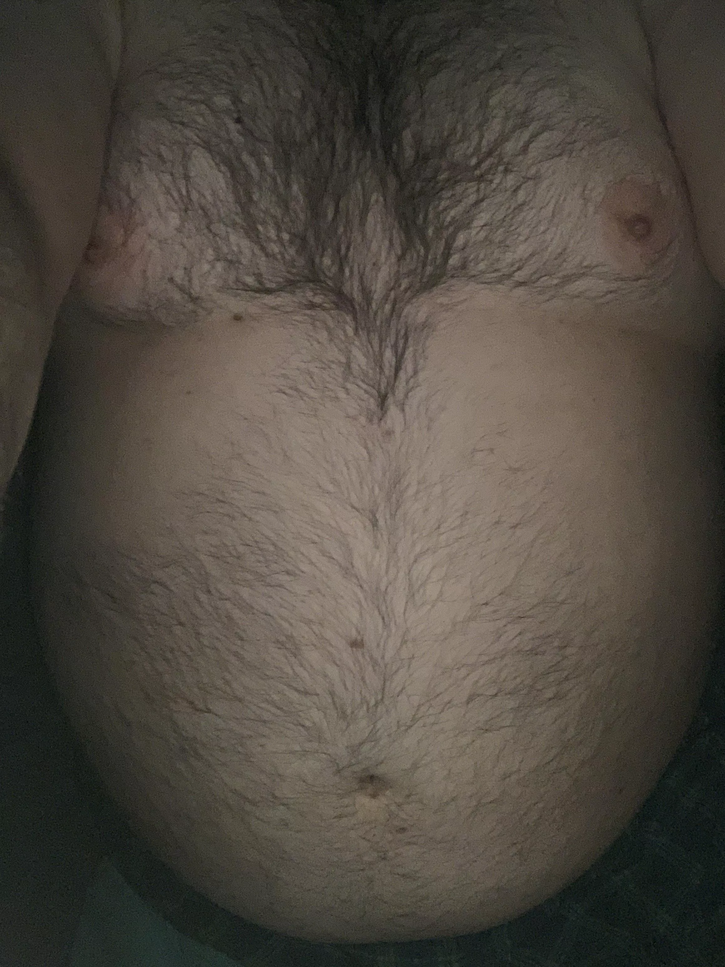 34 bi bear looking for a friend. posted by visual_voice2