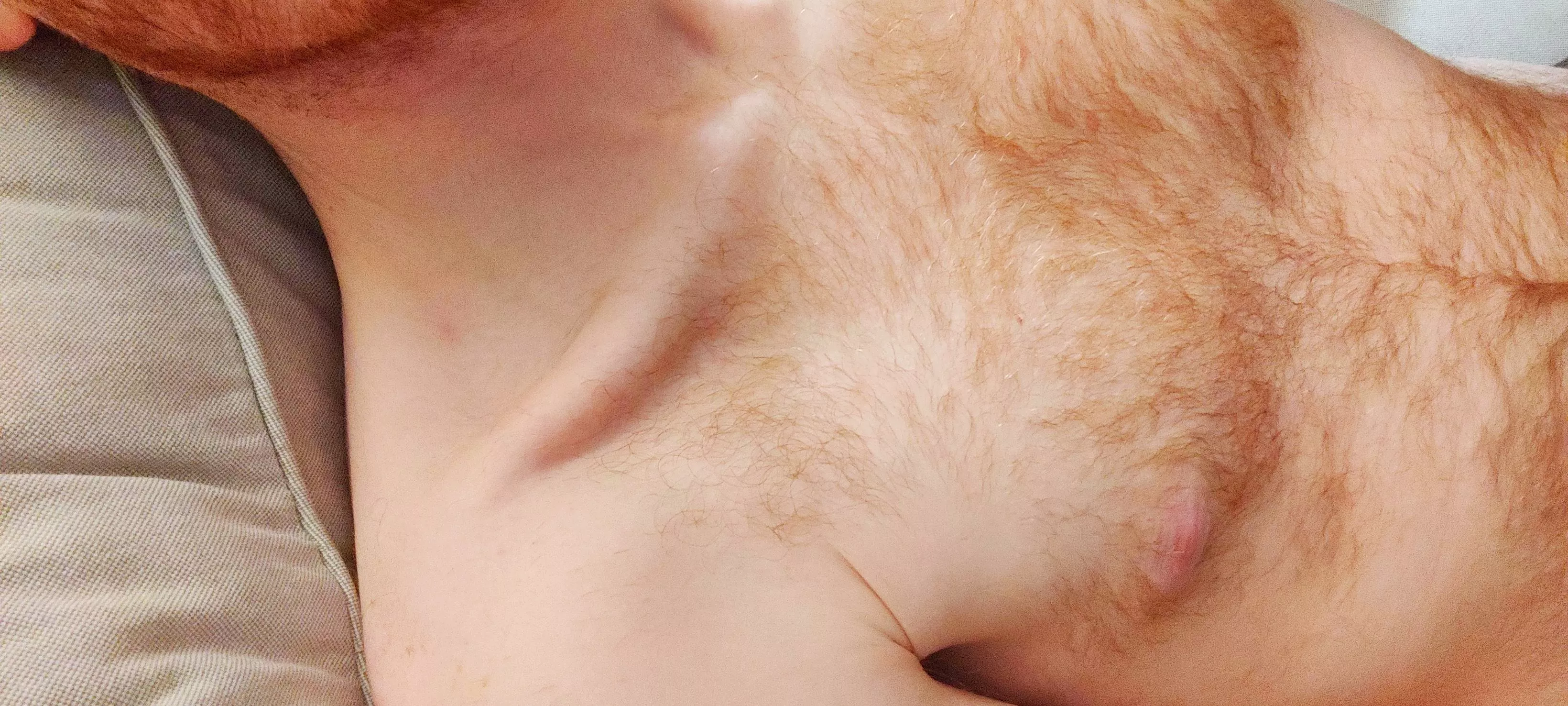 34 m do you like hairy ginger ? posted by gingerdiknpube