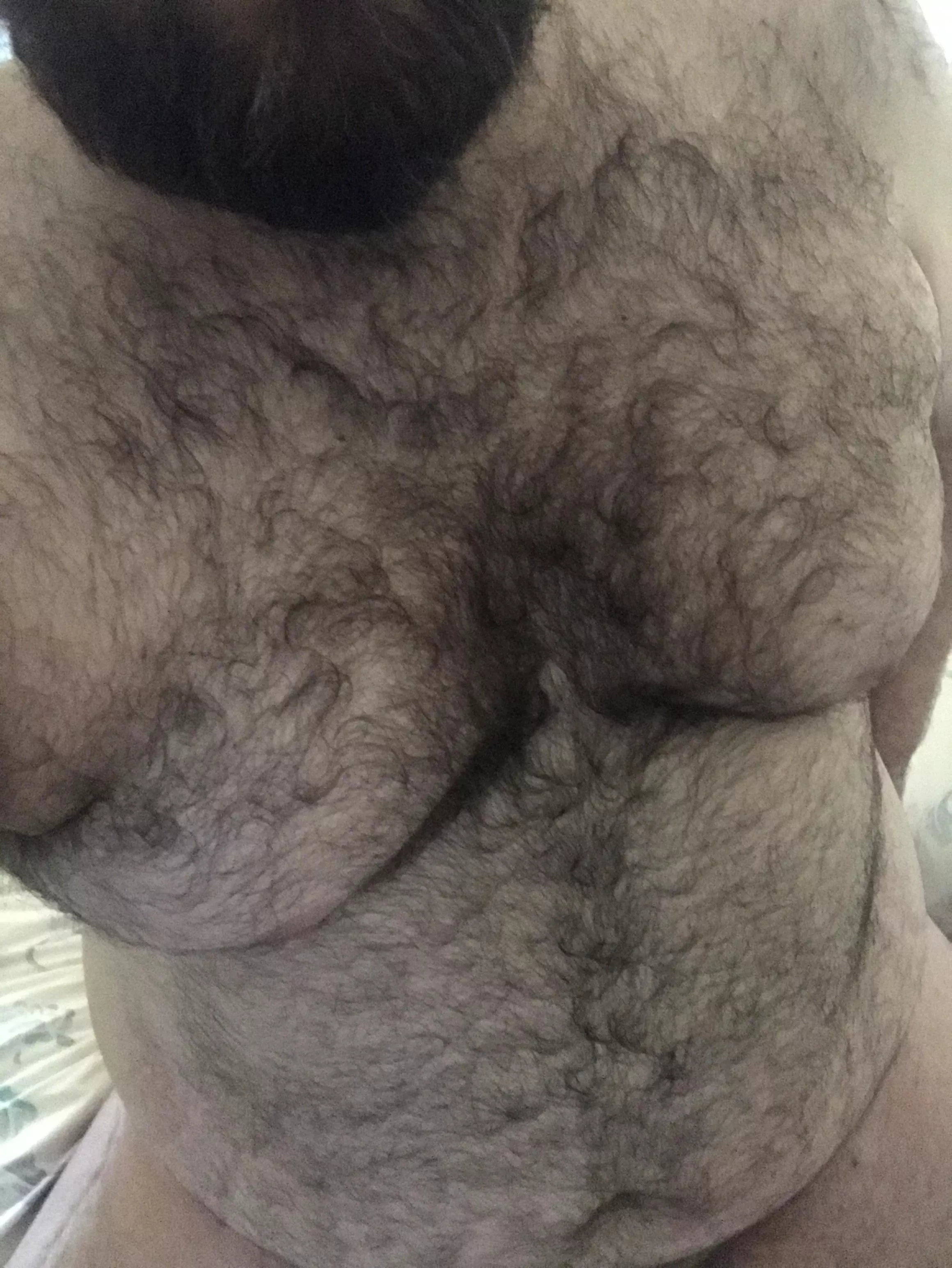 36 bearded chub dying for a buddy to share live nudes with talking me into sucking cock for the first time…live pics sharing required posted by yee_chu8four