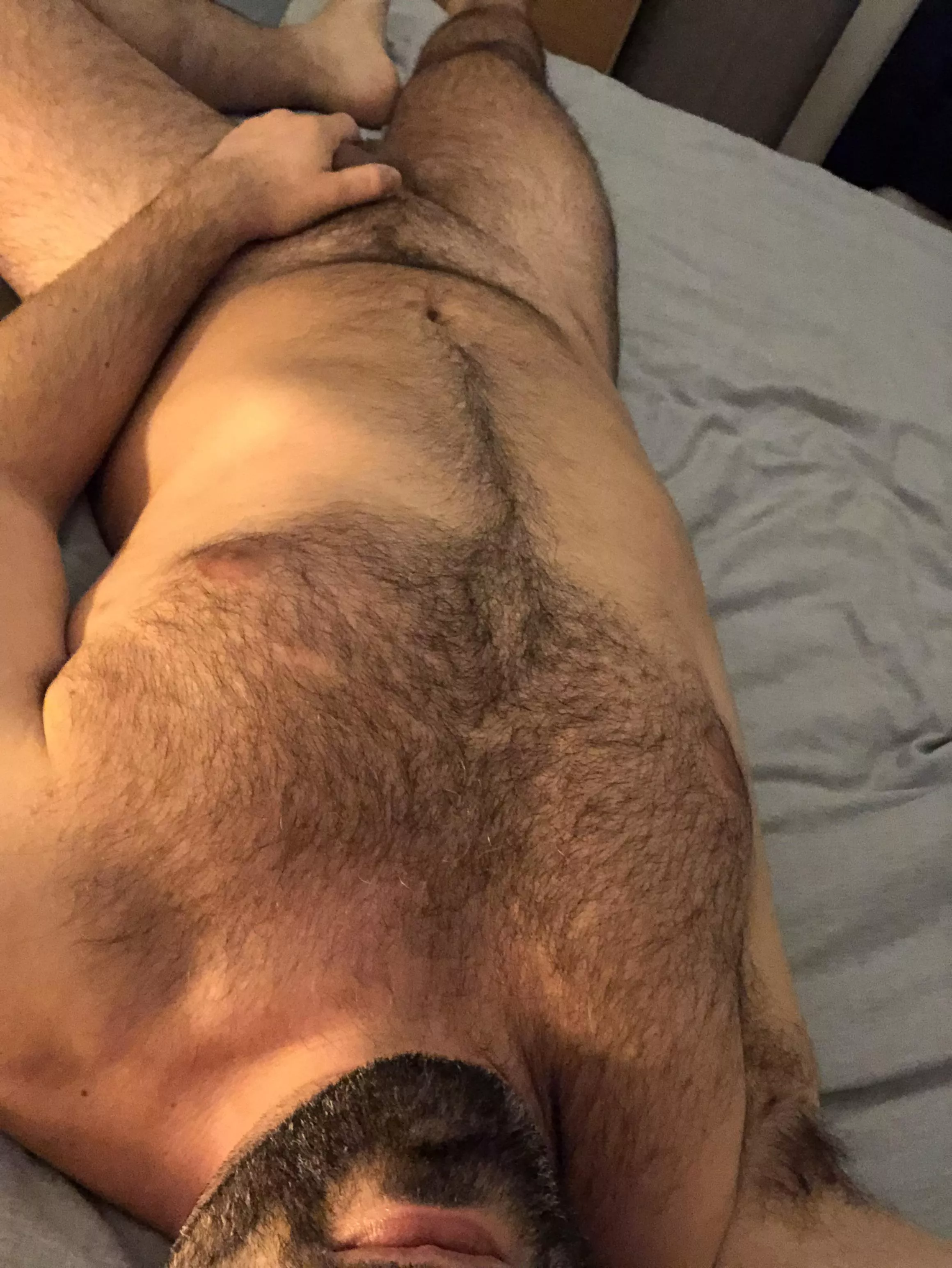 (37)Chest☑️hair☑️ porn you tell me posted by Falcon-843101